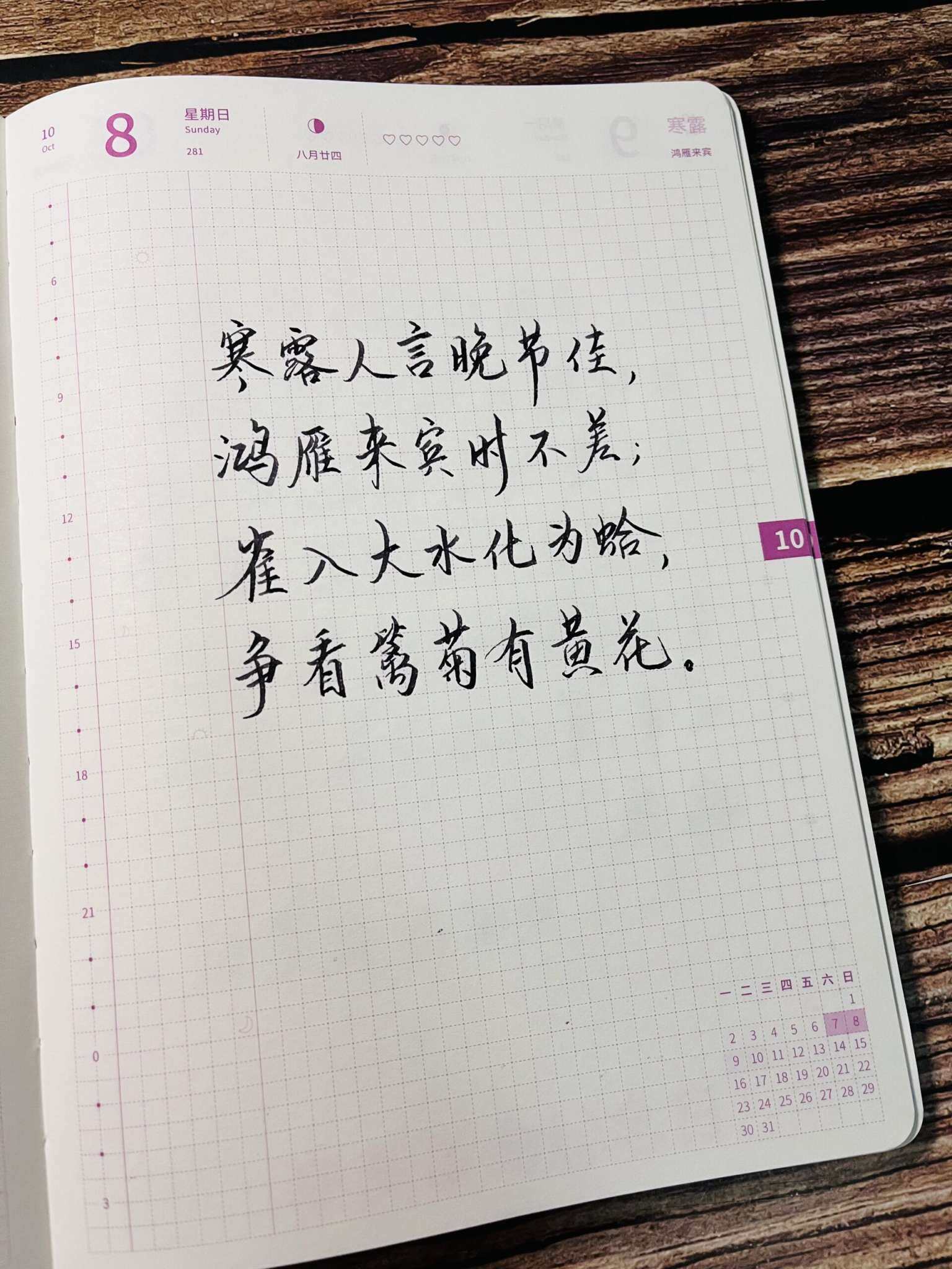 自在手帐2023年10月8日