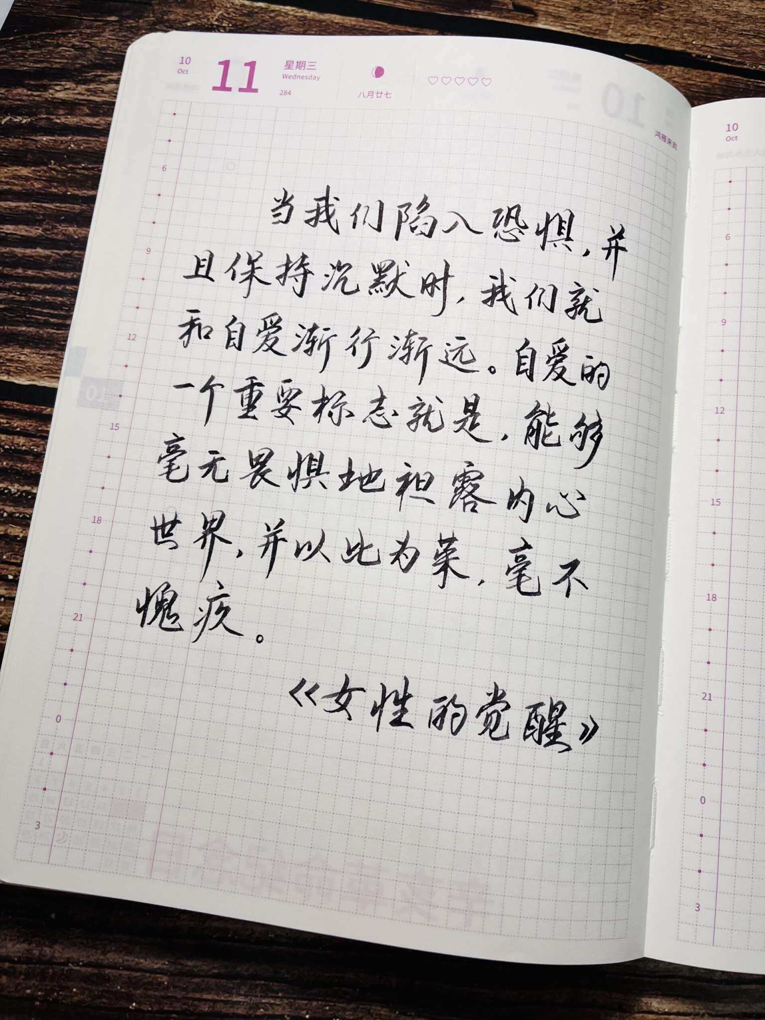 自在手帐2023年10月11日