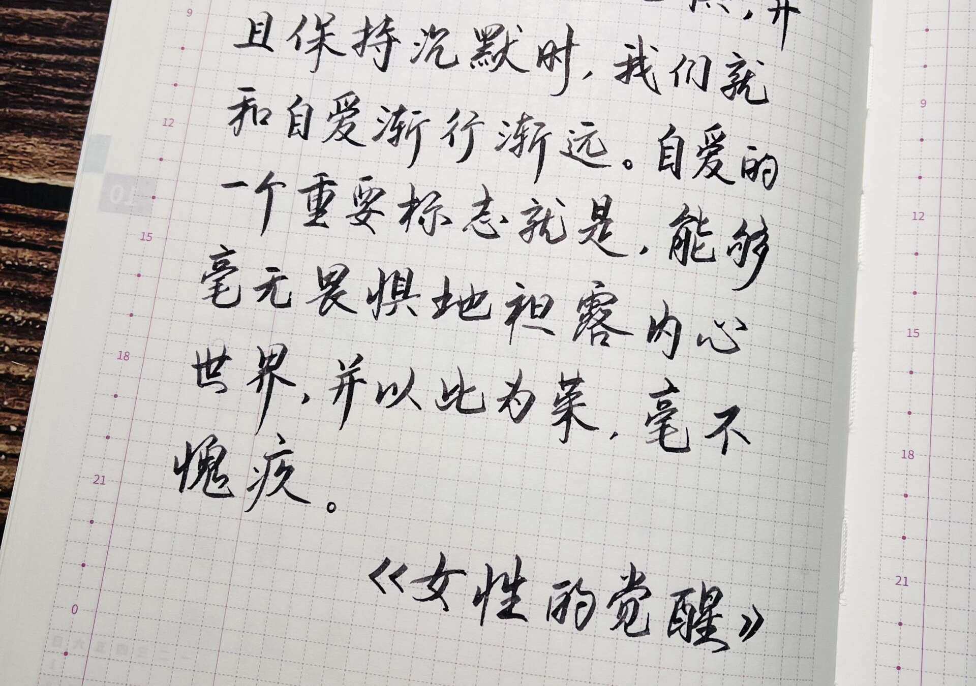 自在手帐2023年10月11日