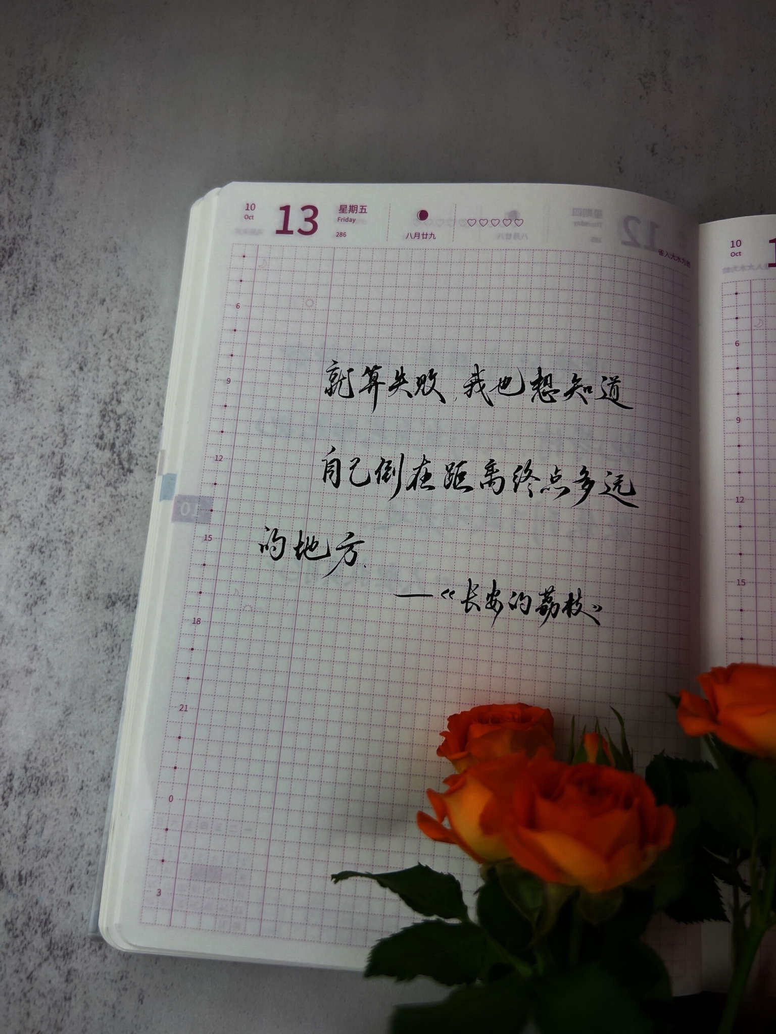 自在手帐2023年10月13日
