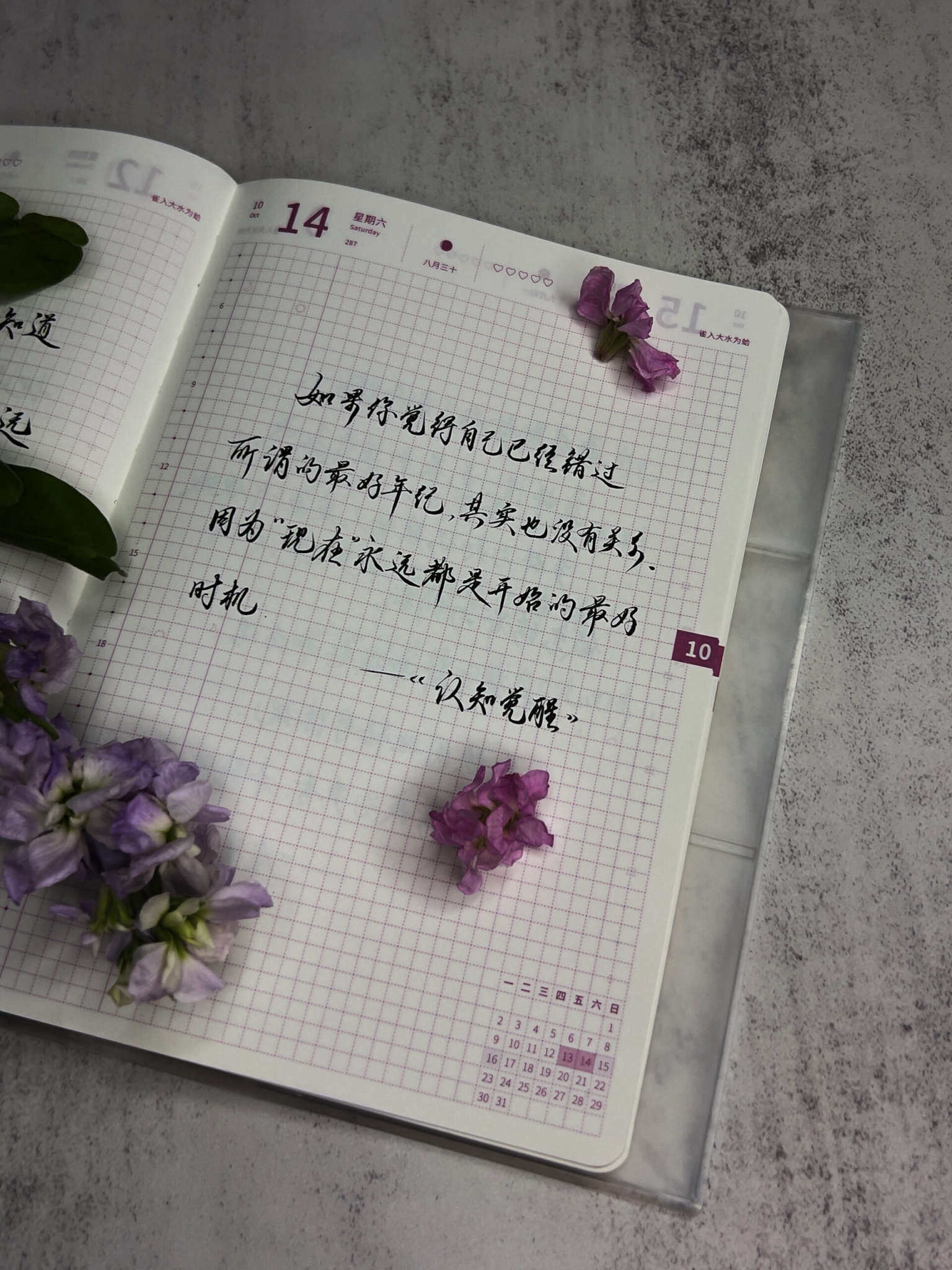 自在手帐2023年10月14日