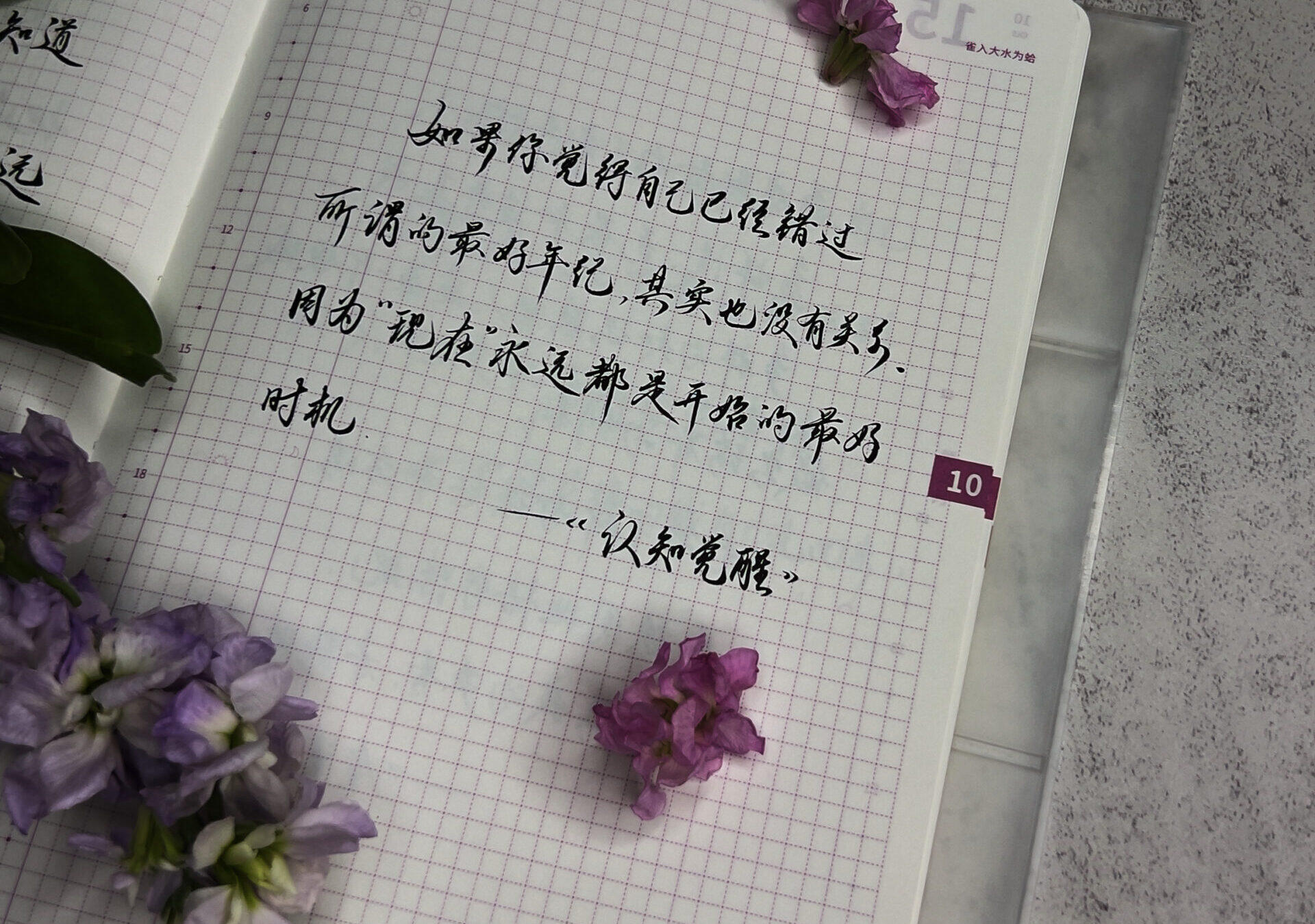 开始的最好时机