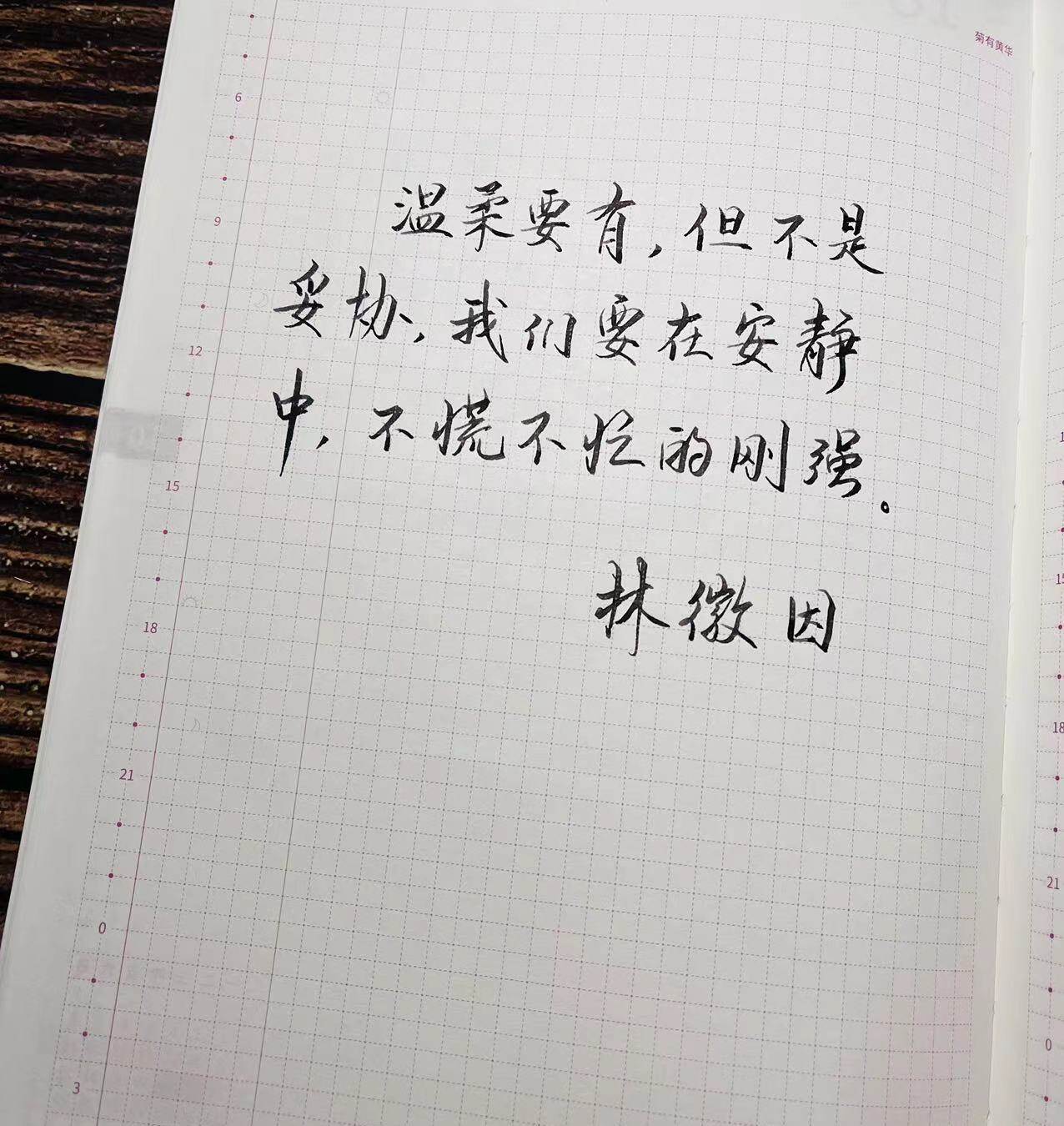 不慌不忙的刚强