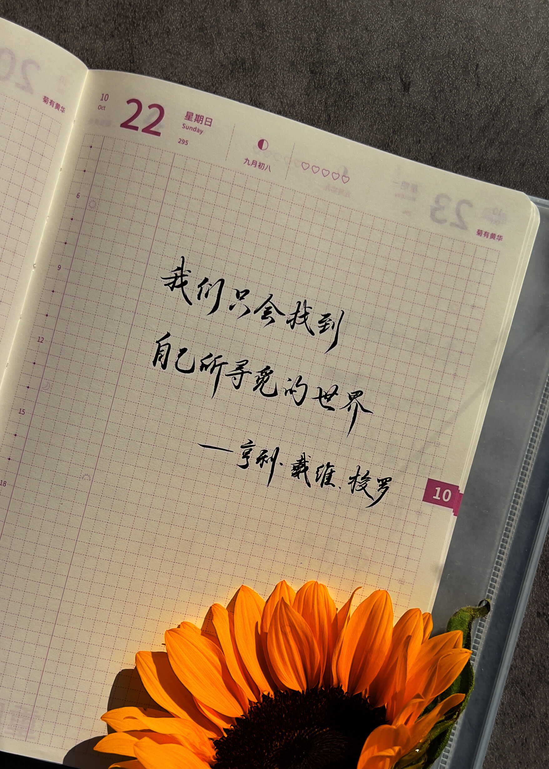 自在手帐2023年10月22日