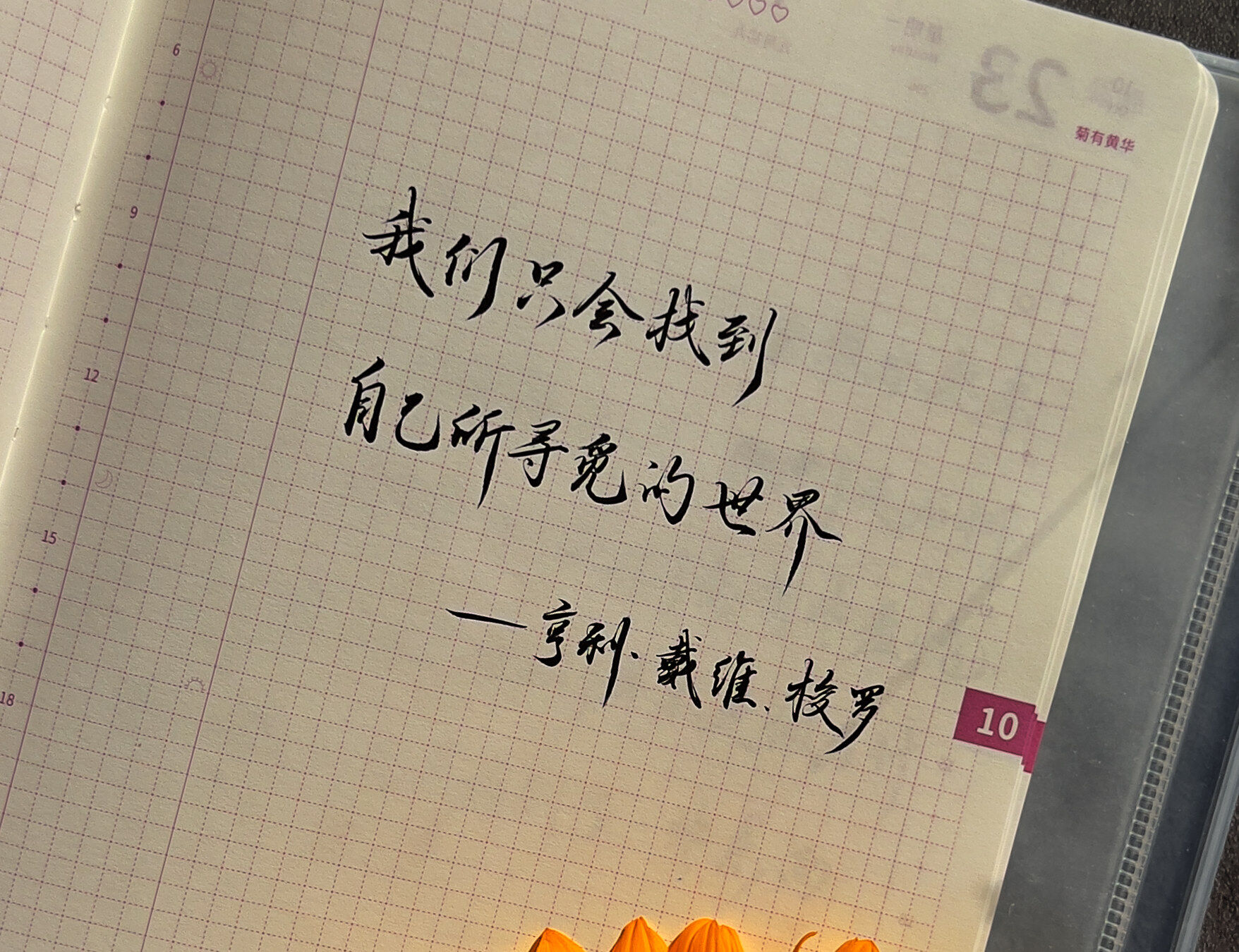 我们只会找到——