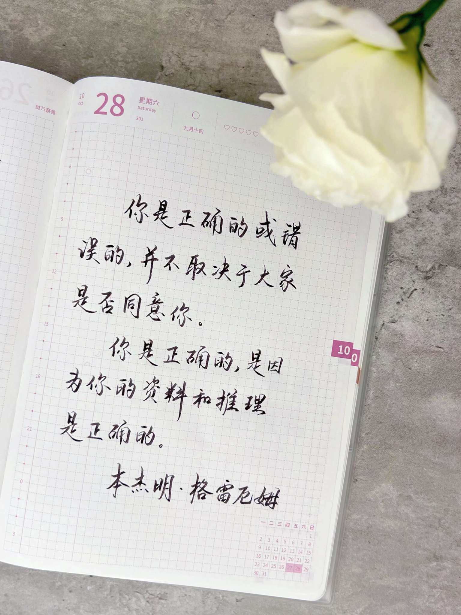 自在手帐2023年10月28日