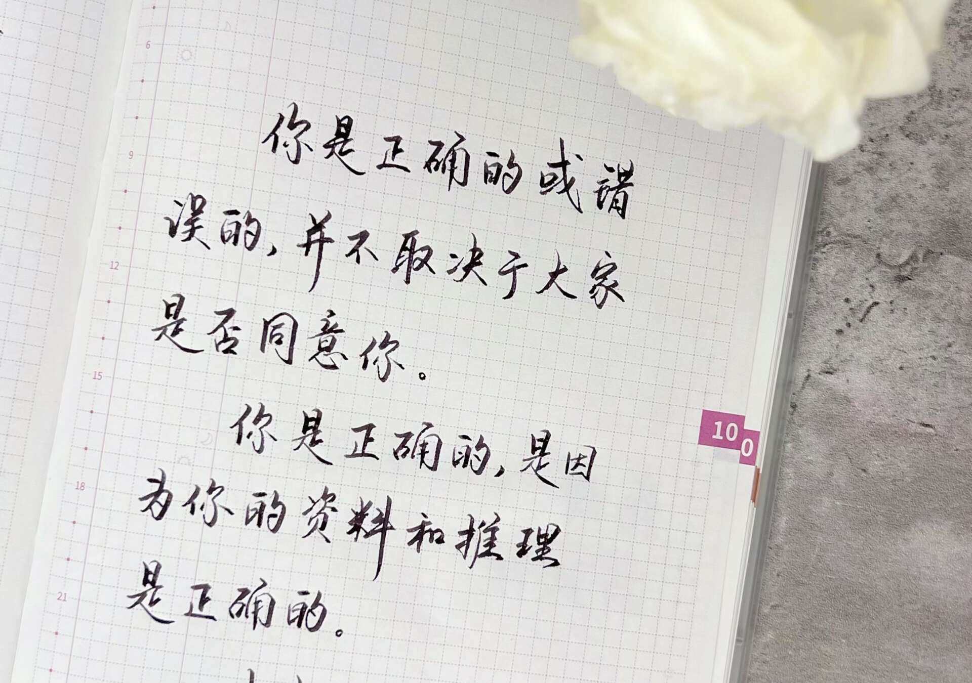 自在手帐2023年10月28日