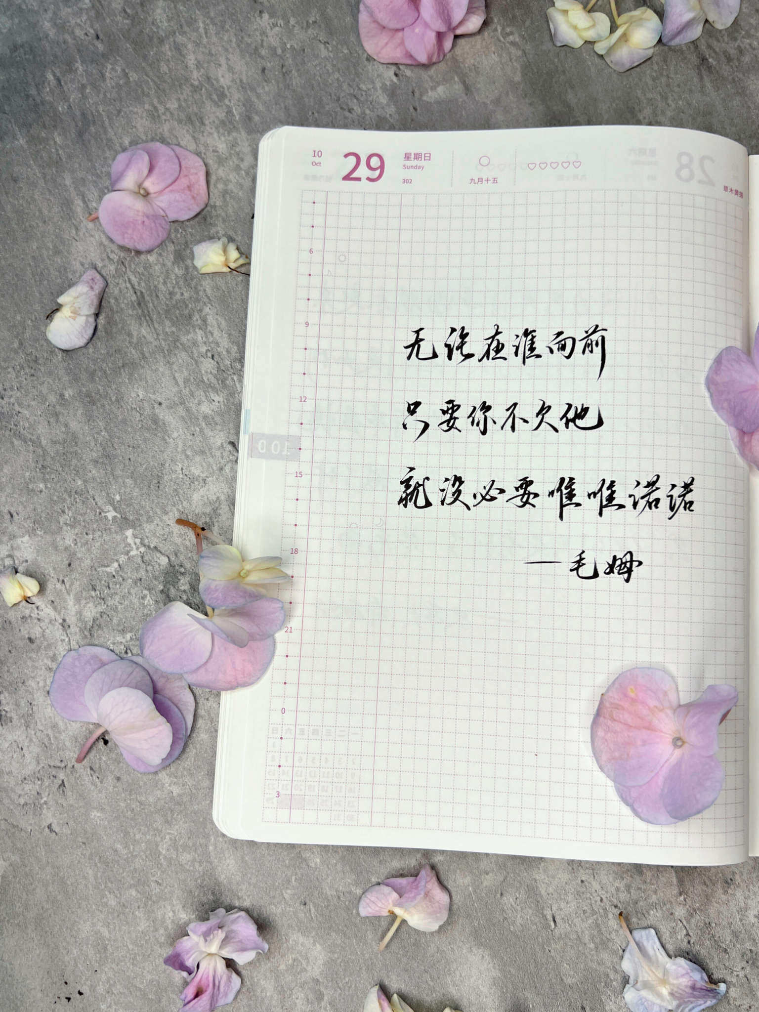 自在手帐2023年10月29日