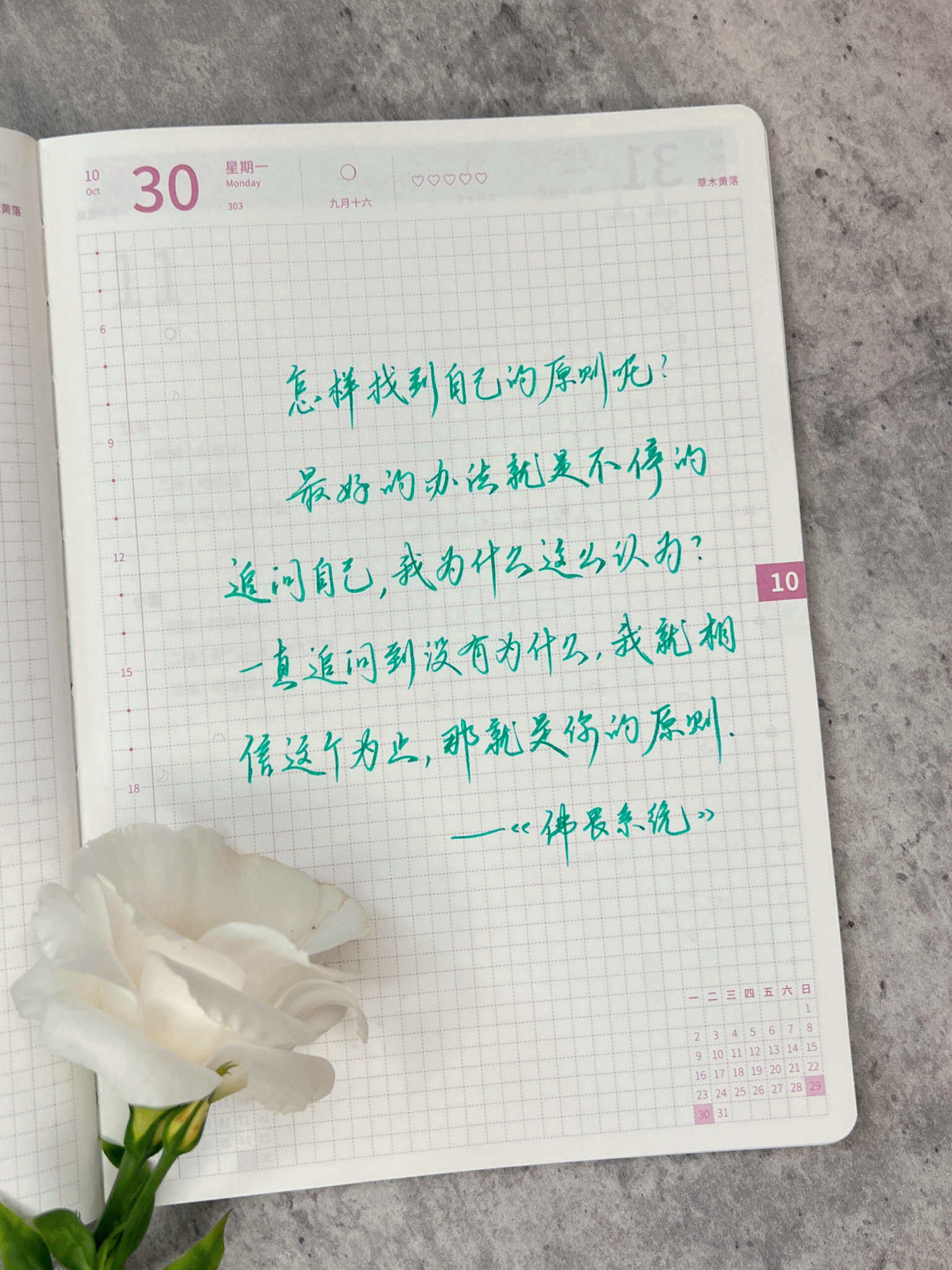 自在手帐2023年10月30日
