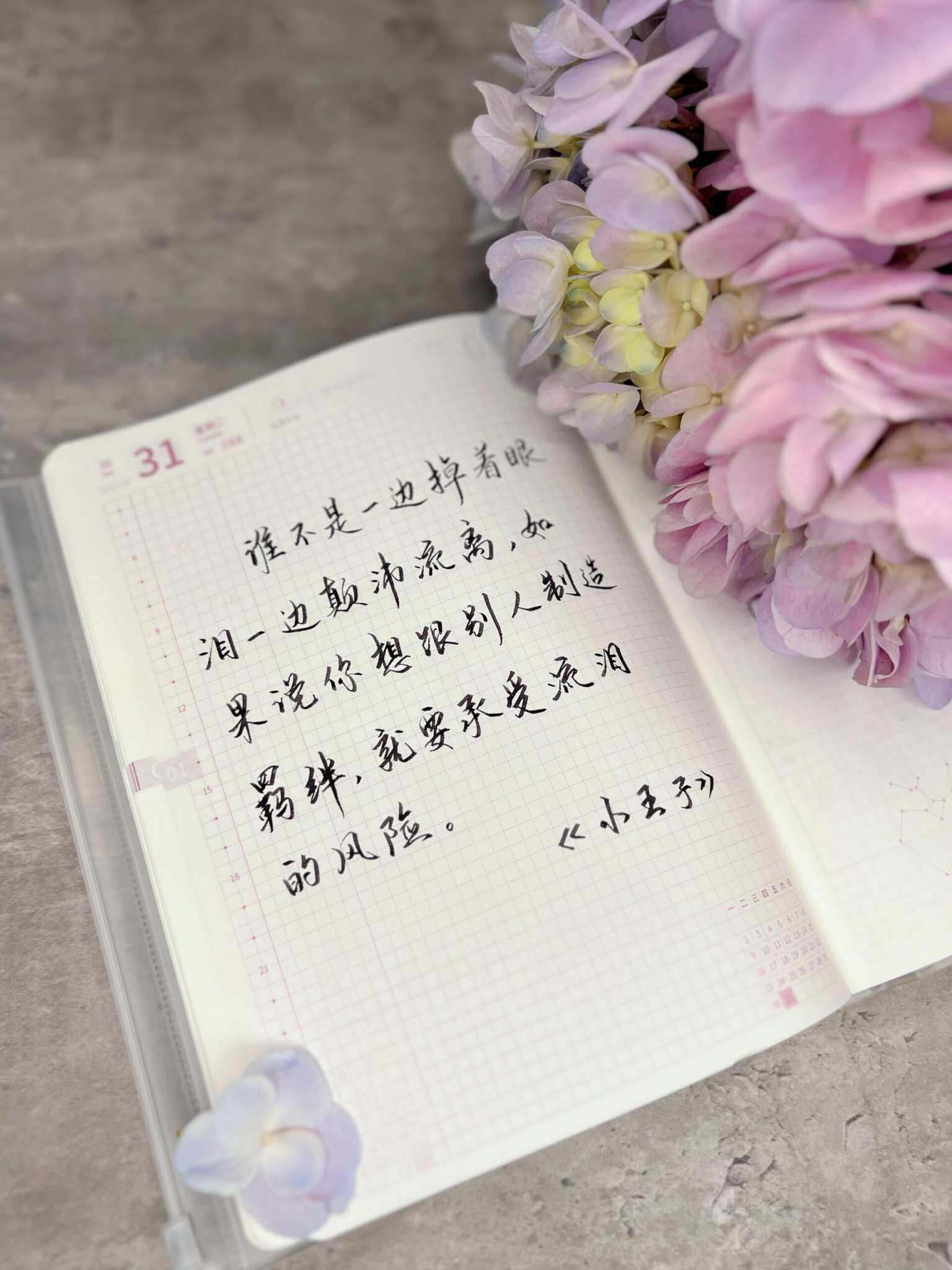 自在手帐2023年10月31日
