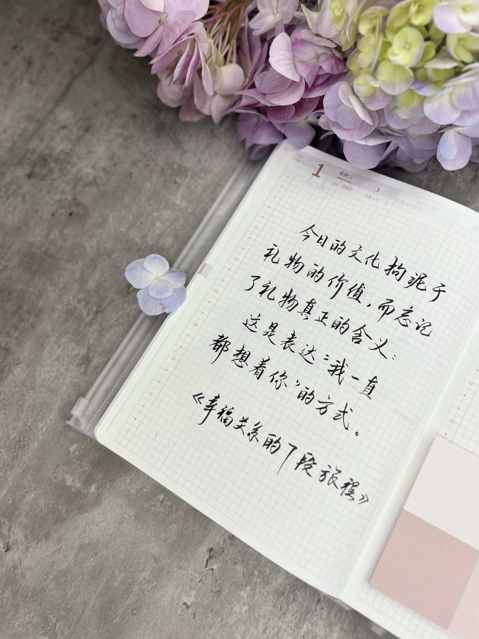 自在手帐2023年11月1日