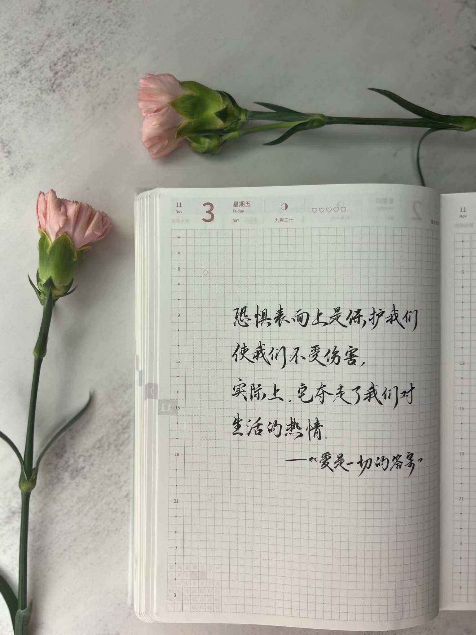 自在手帐2023年11月3日