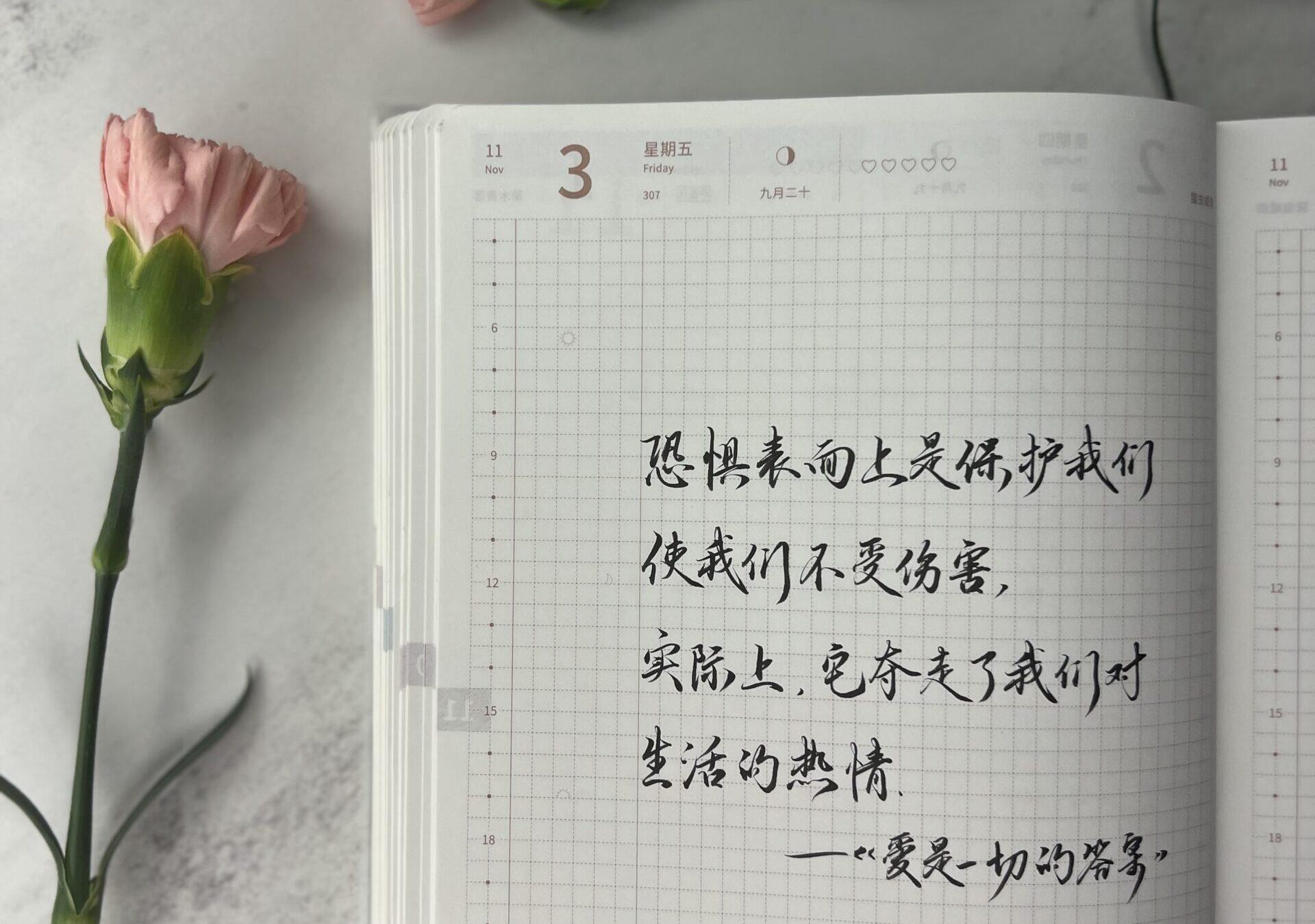 恐惧夺走了对生活的热情