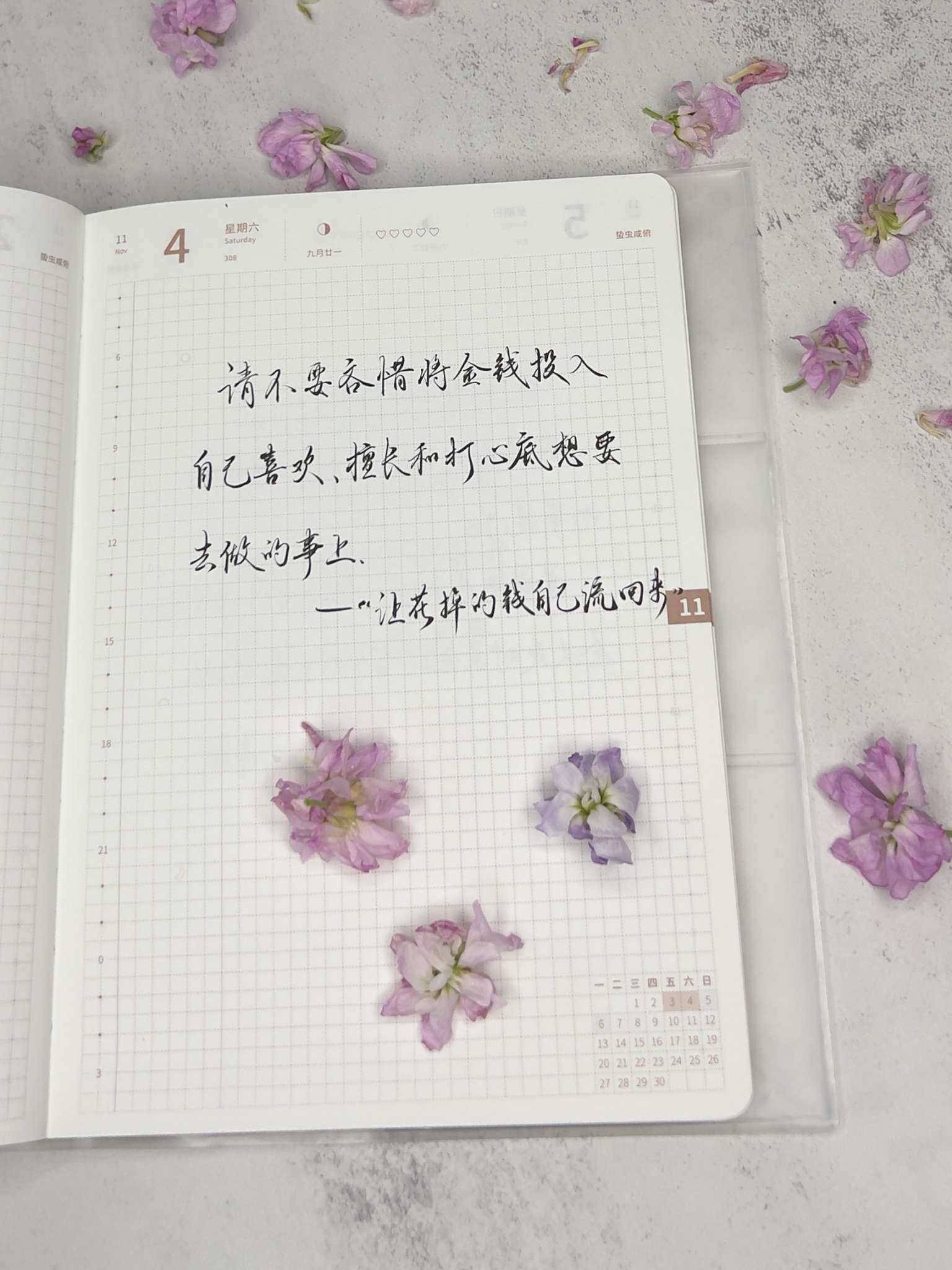 自在手帐2023年11月4日