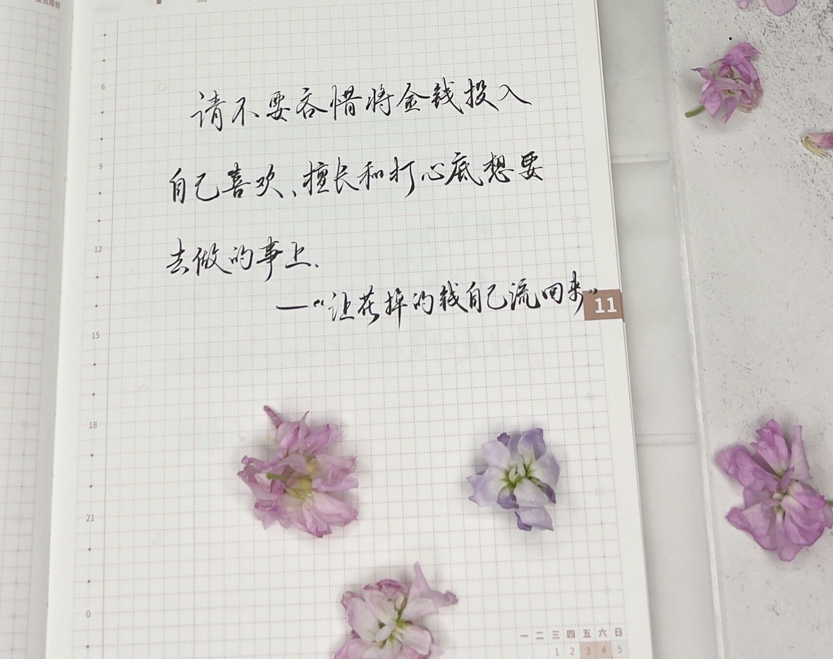 不要吝惜金钱的投入