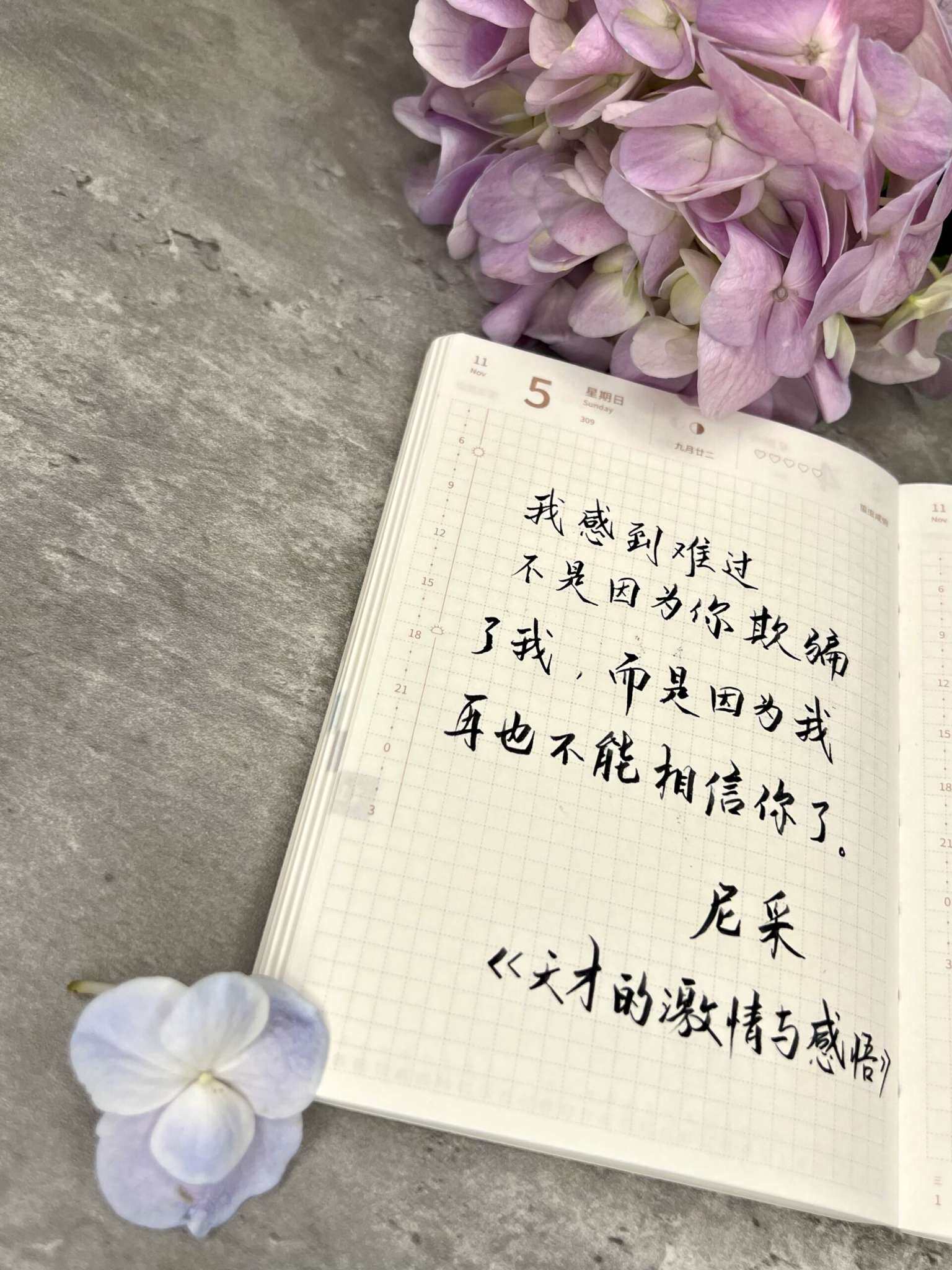 自在手帐2023年11月5日
