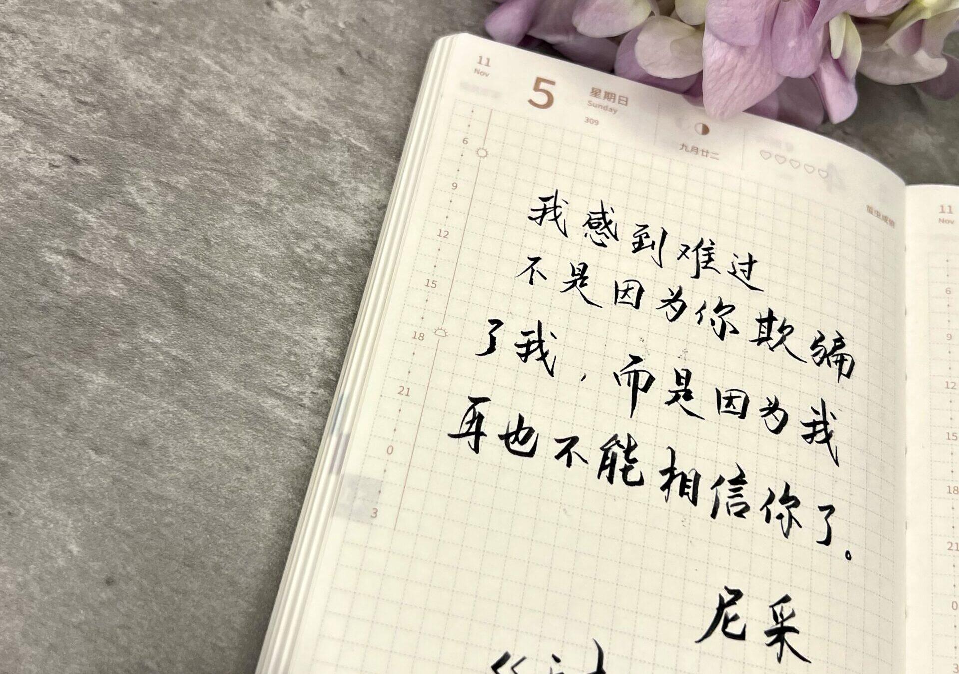 自在手帐2023年11月5日