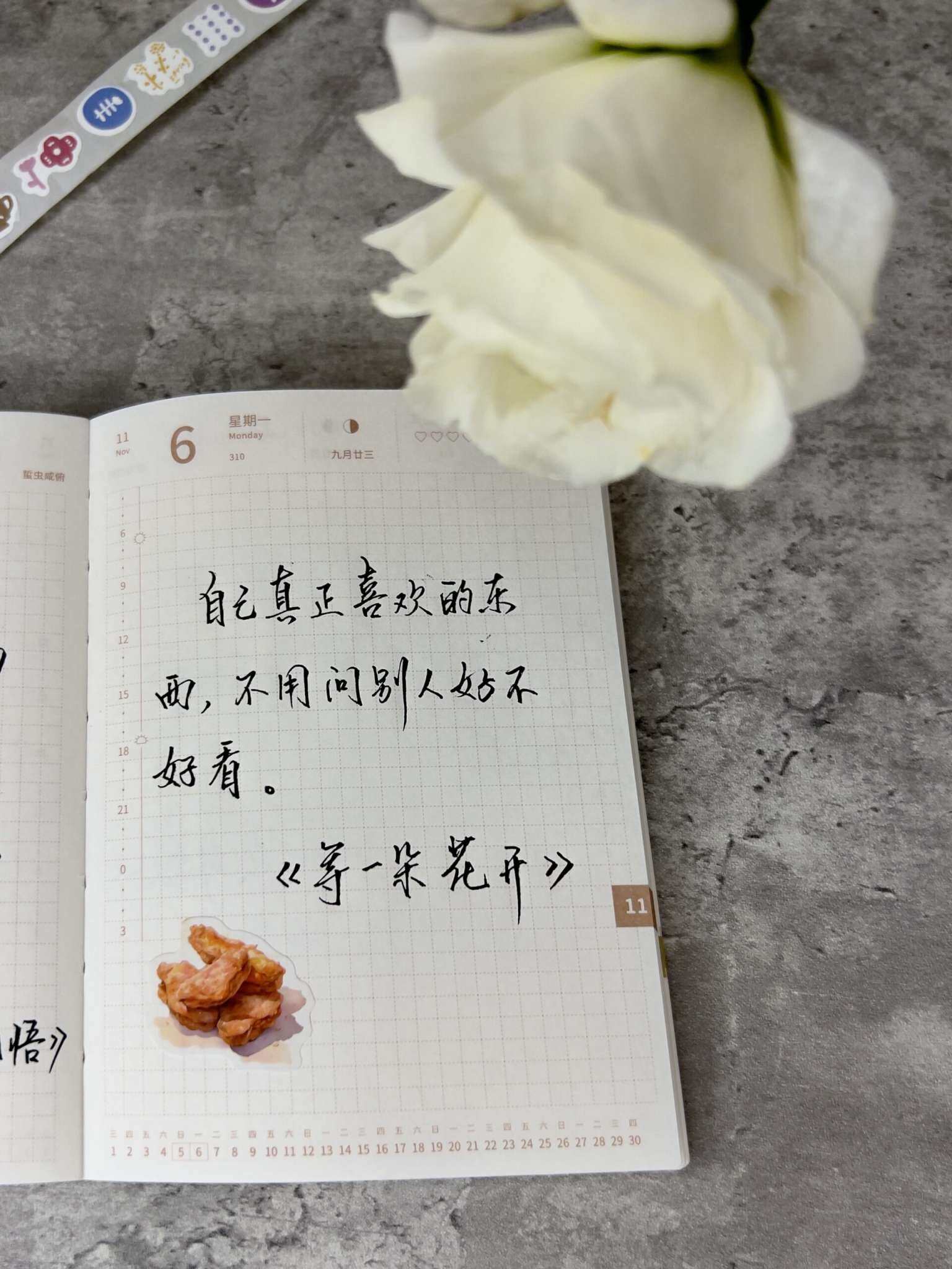 自在手帐2023年11月6日