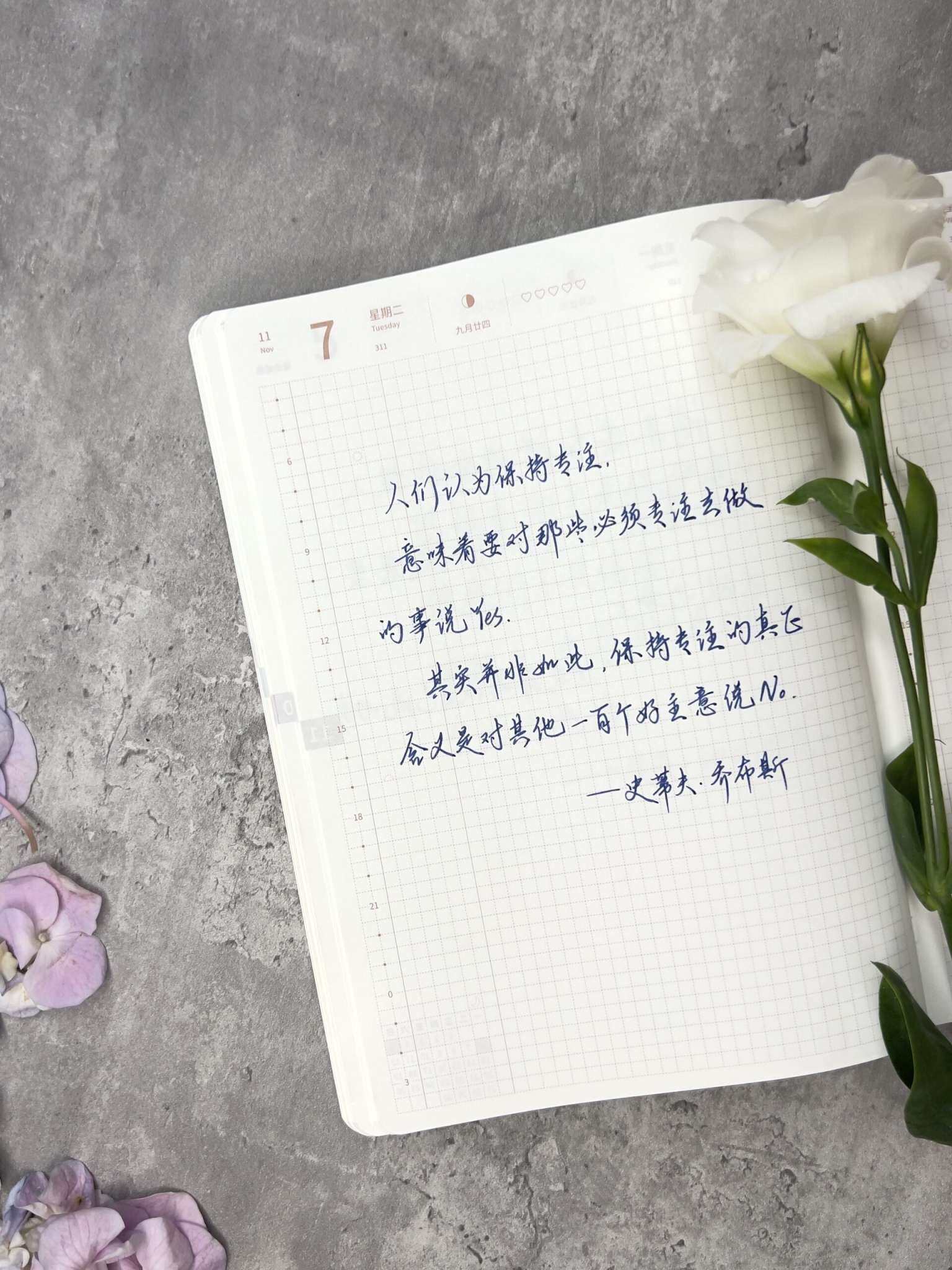 自在手帐2023年11月7日