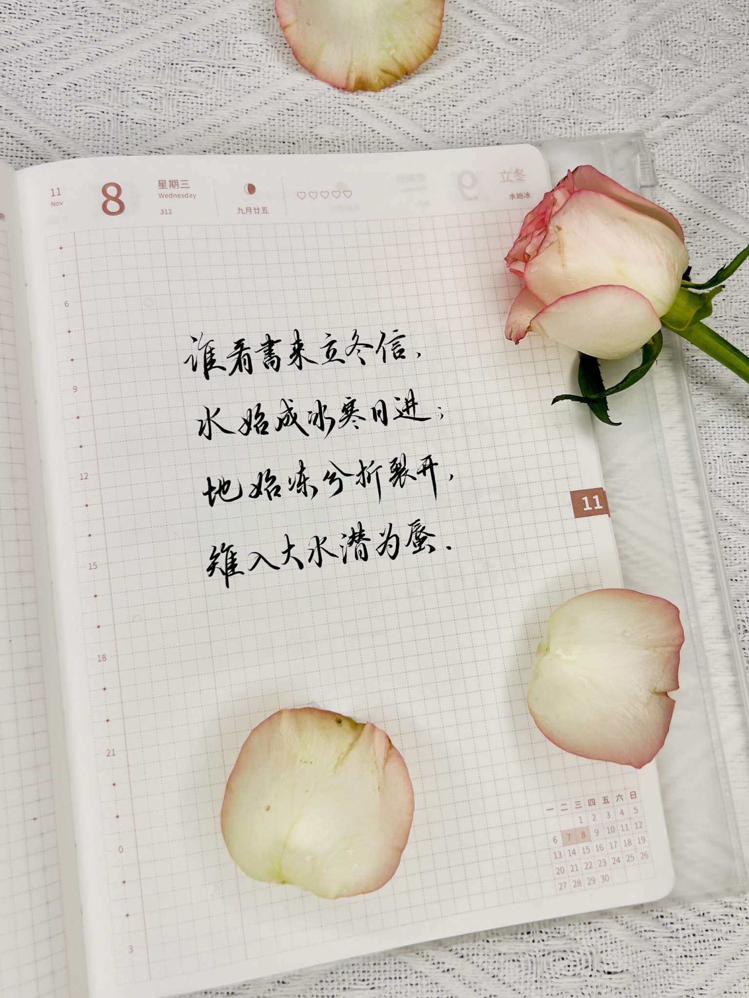 自在手帐2023年11月8日