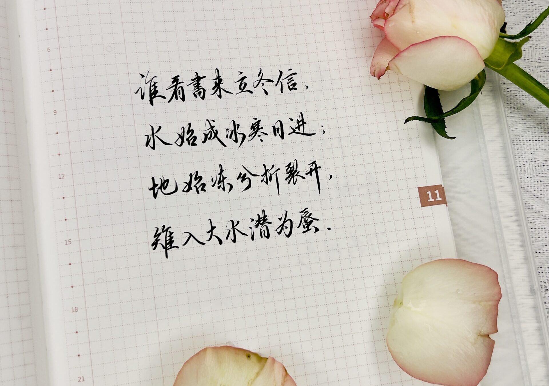 立冬|二十四节气|癸卯年