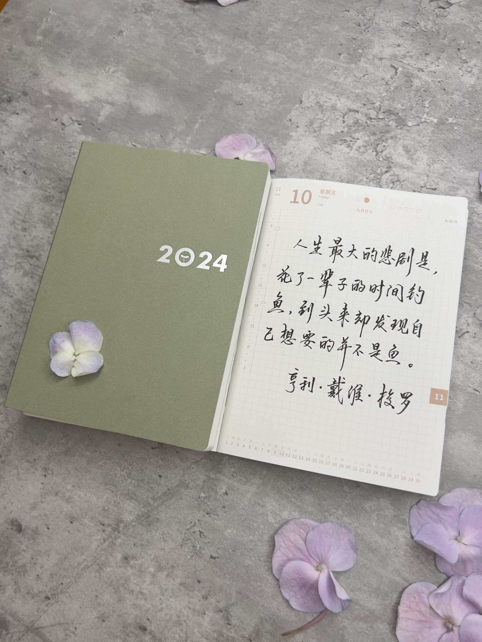自在手帐2023年11月10日