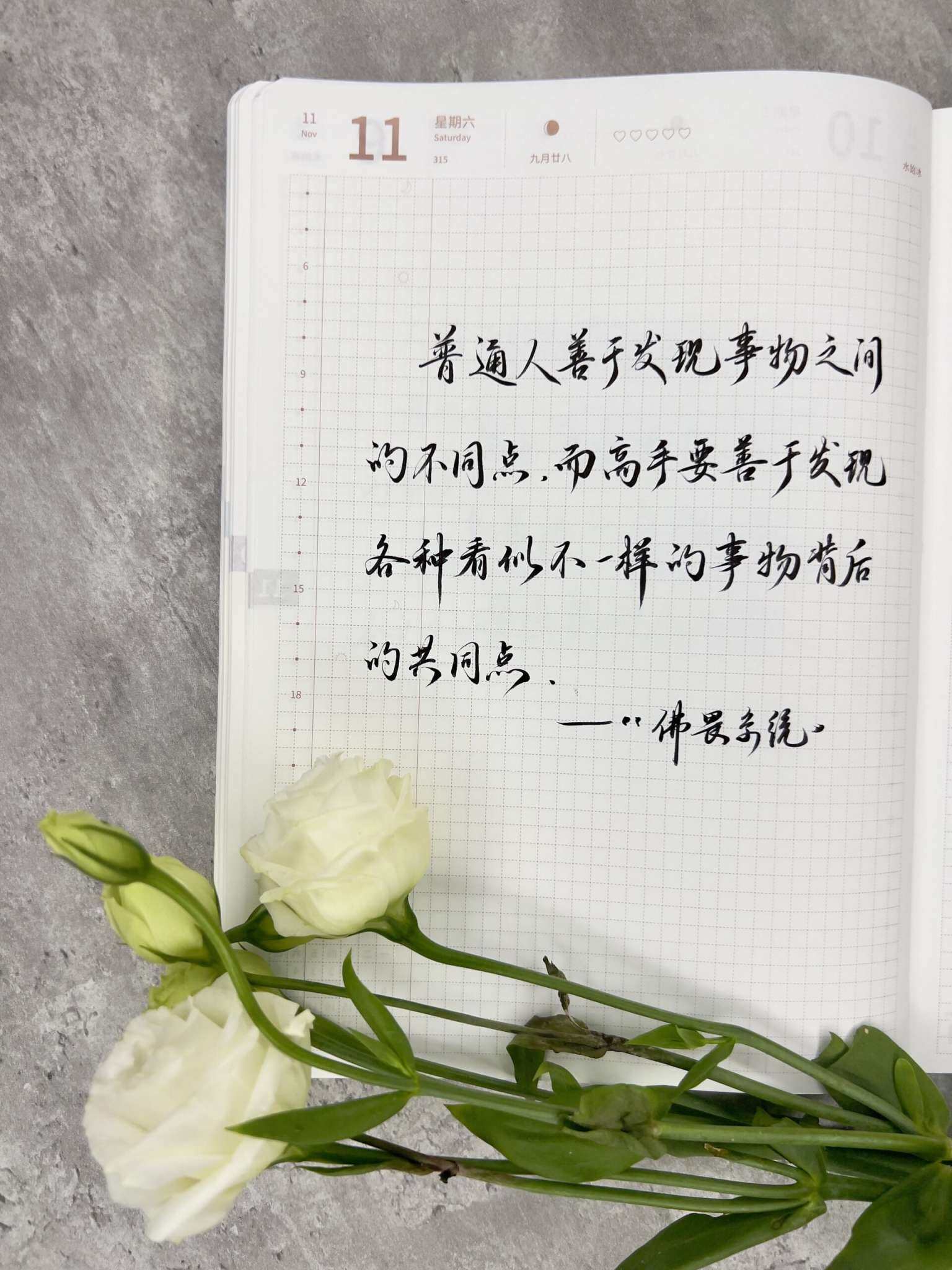 自在手帐2023年11月11日