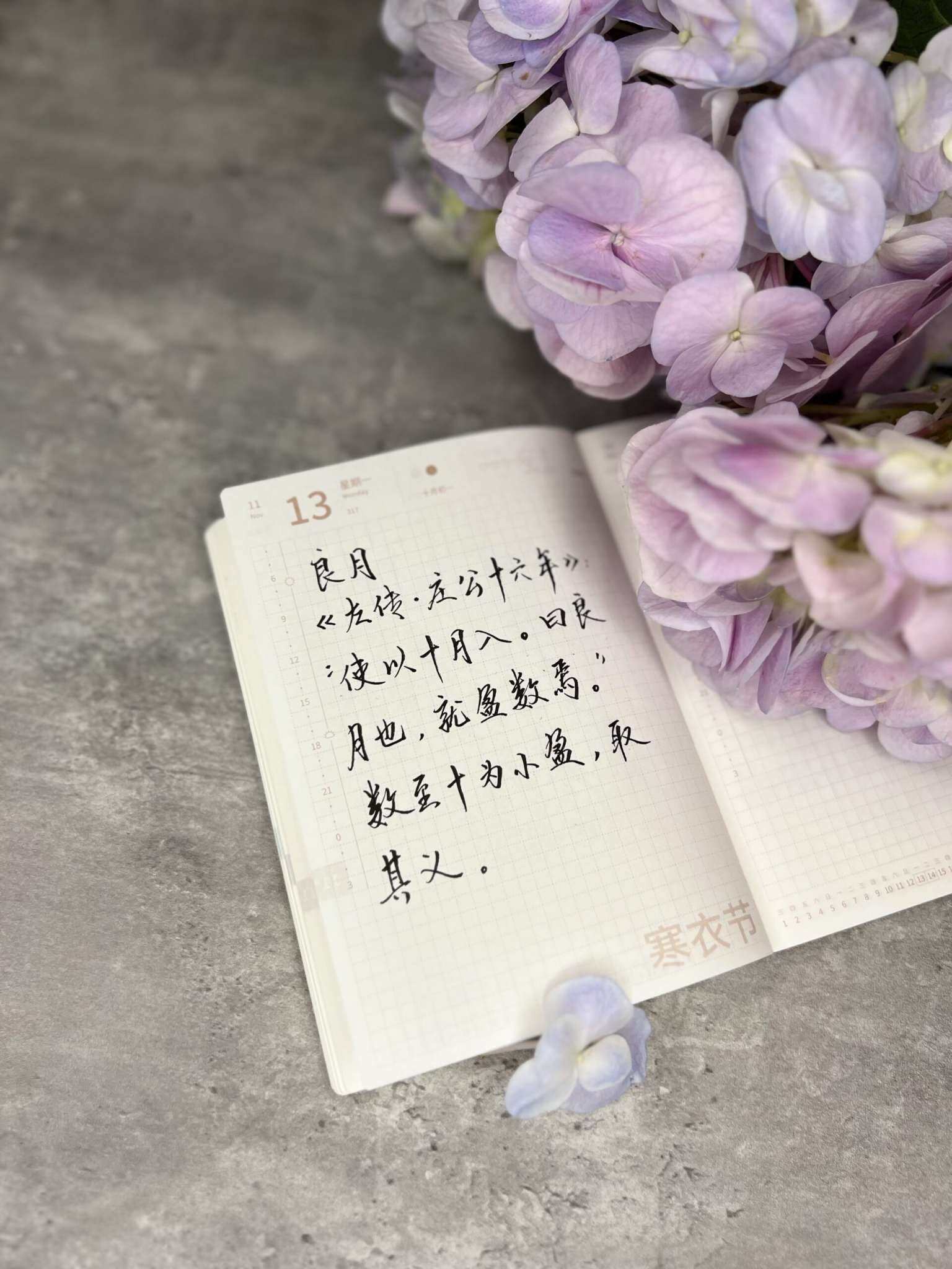 自在手帐2023年11月13日