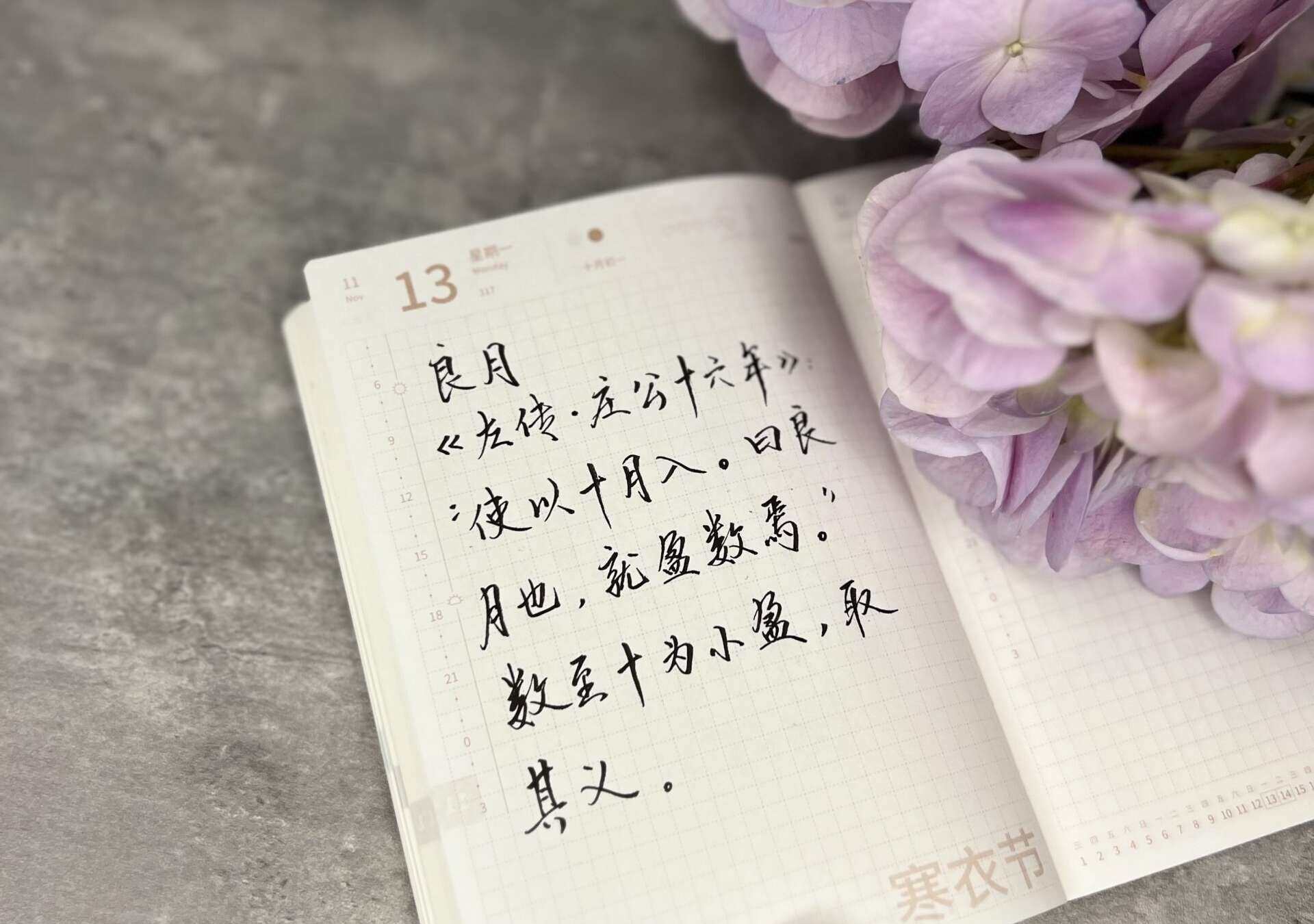 自在手帐2023年11月13日