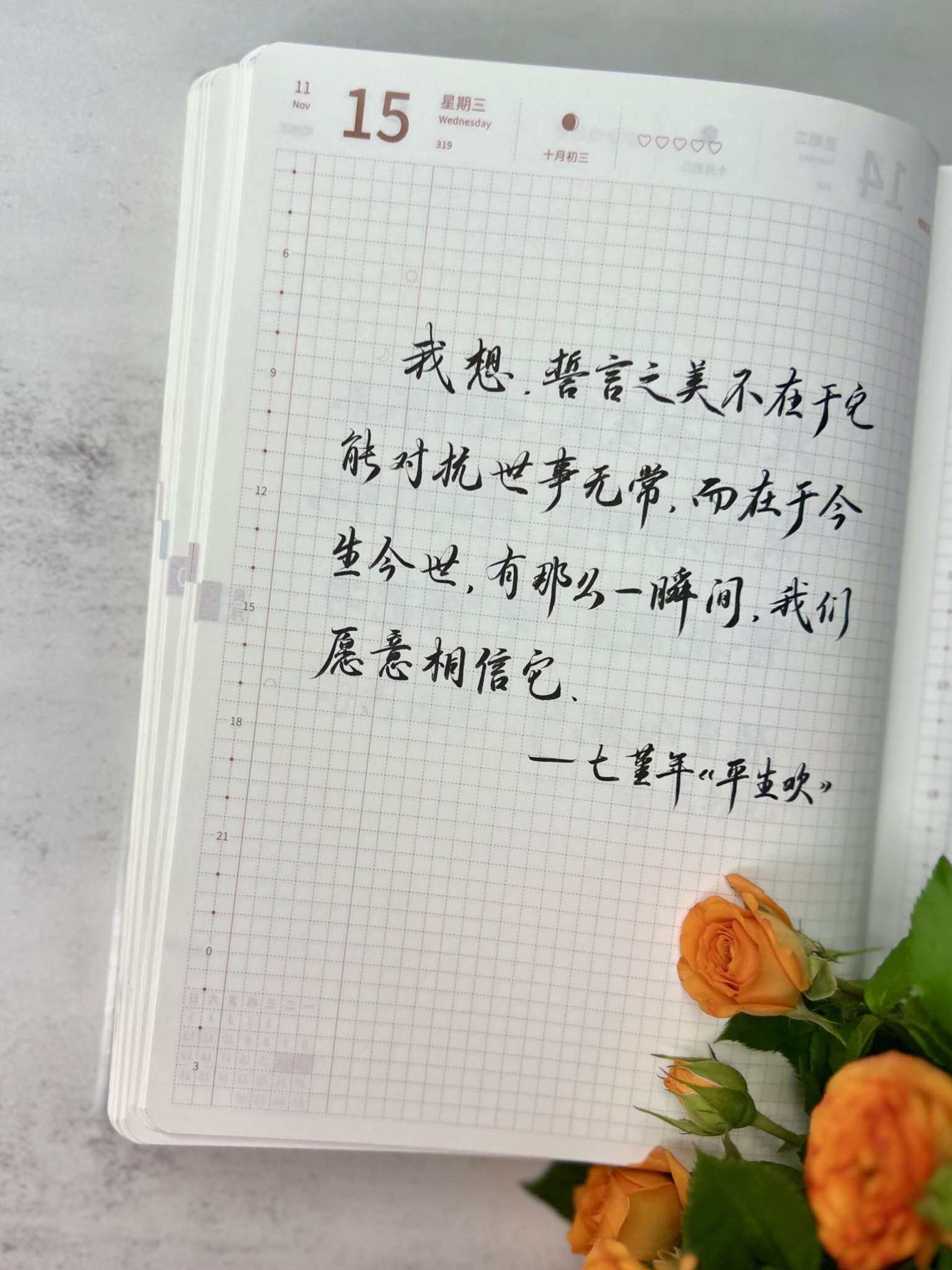 自在手帐2023年11月15日