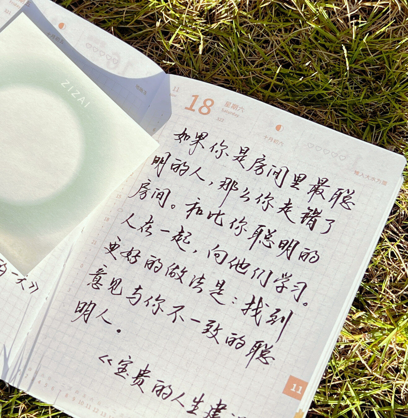 找到意见与你不一致的聪明人