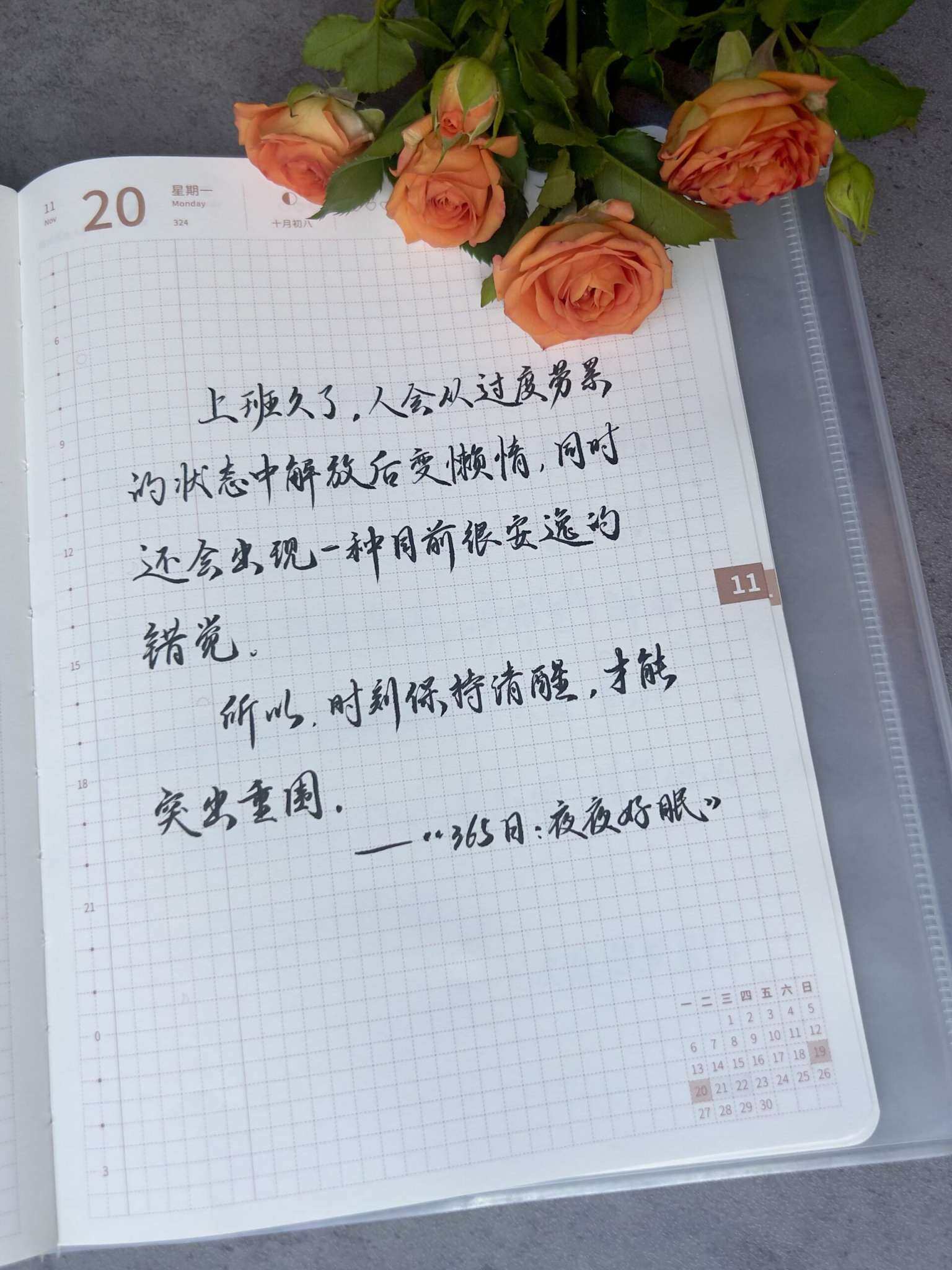 自在手帐2023年11月20日
