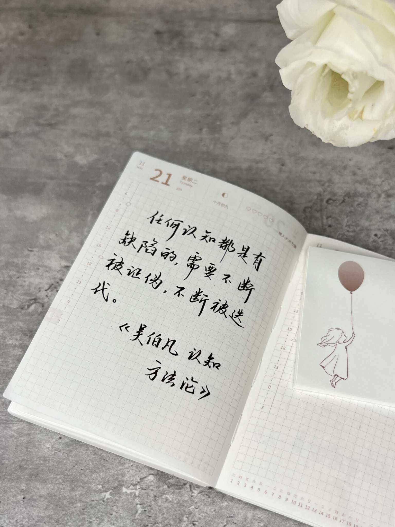 自在手帐2023年11月21日