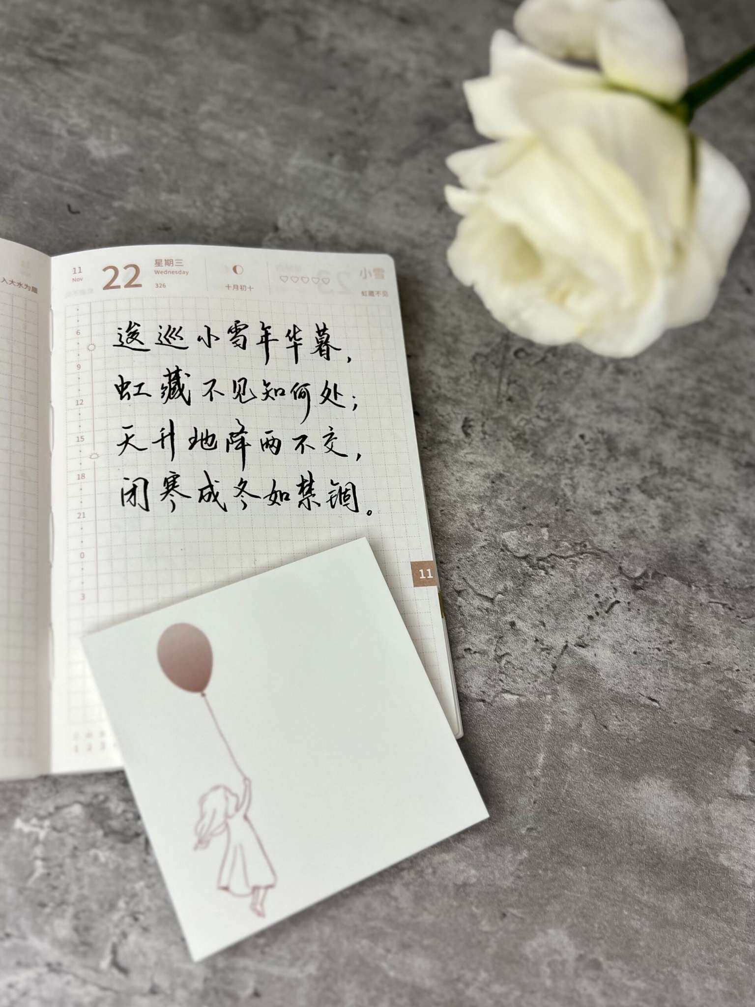 自在手帐2023年11月22日