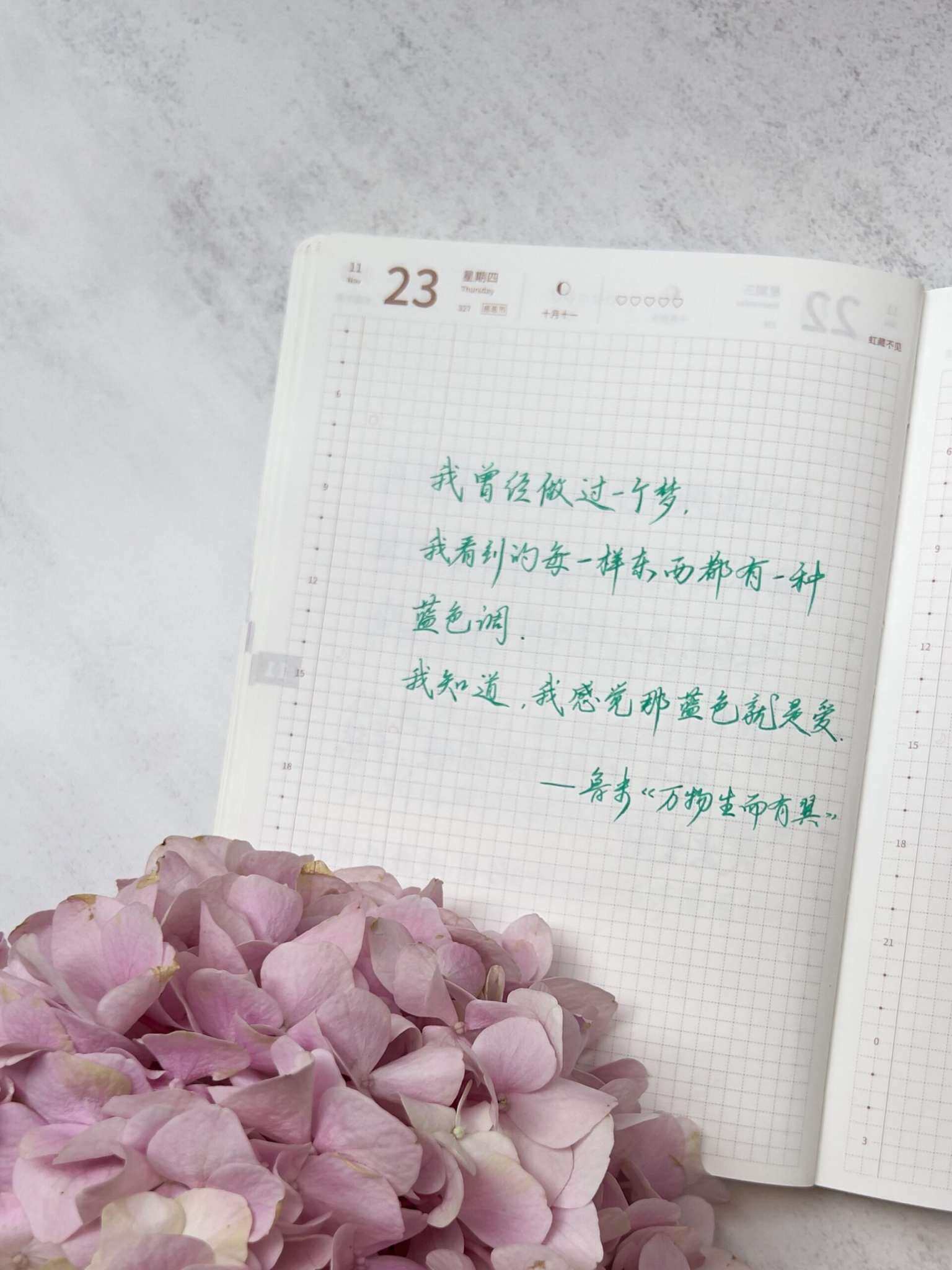 自在手帐2023年11月23日