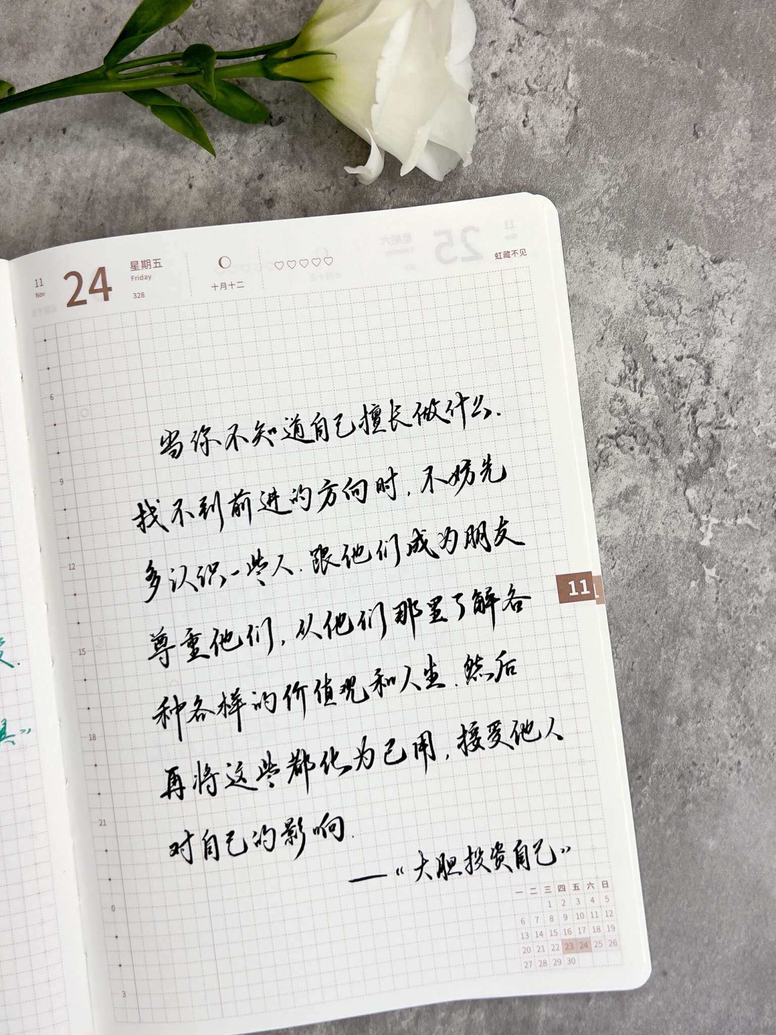 自在手帐2023年11月24日