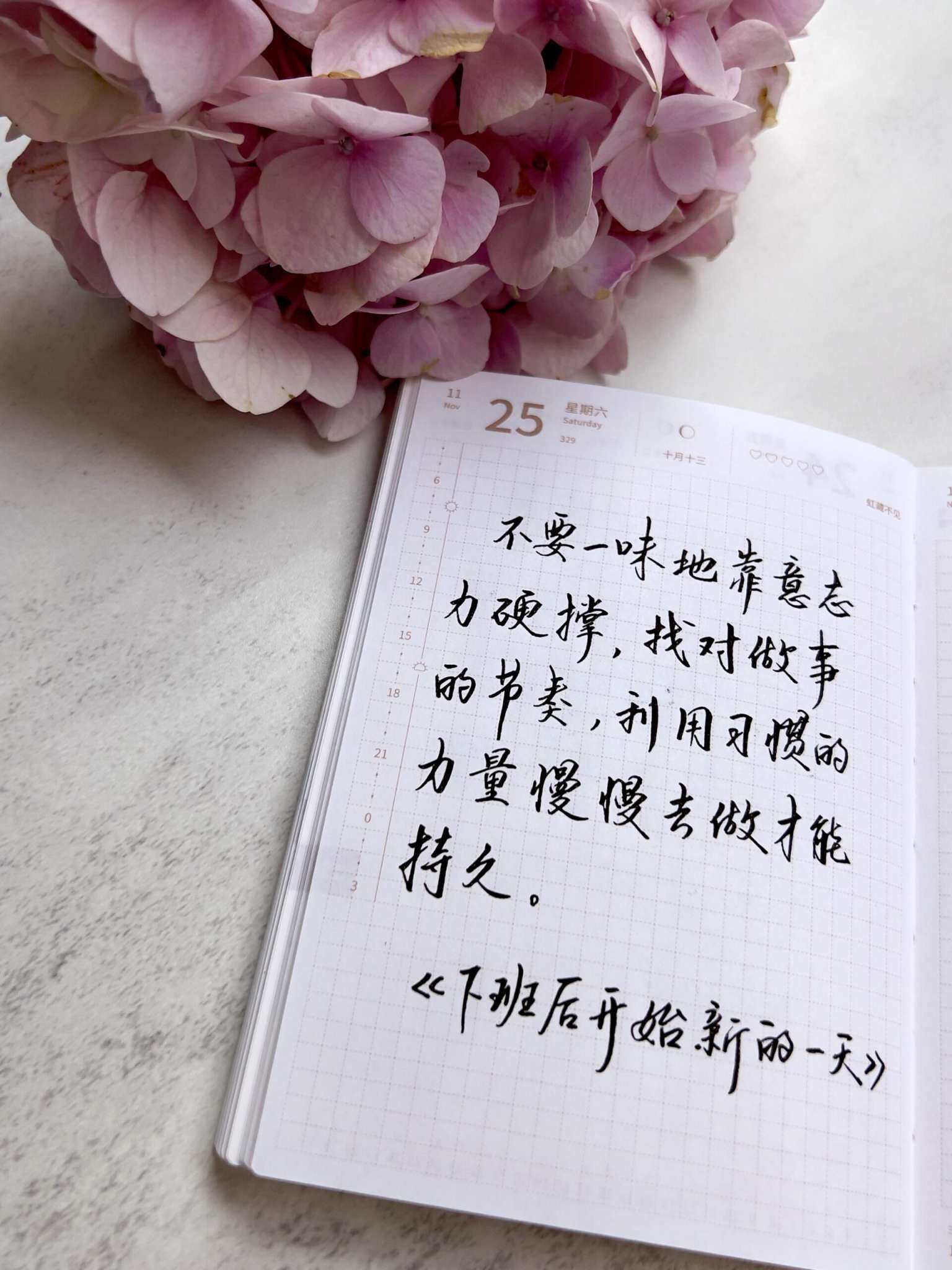 自在手帐2023年11月25日