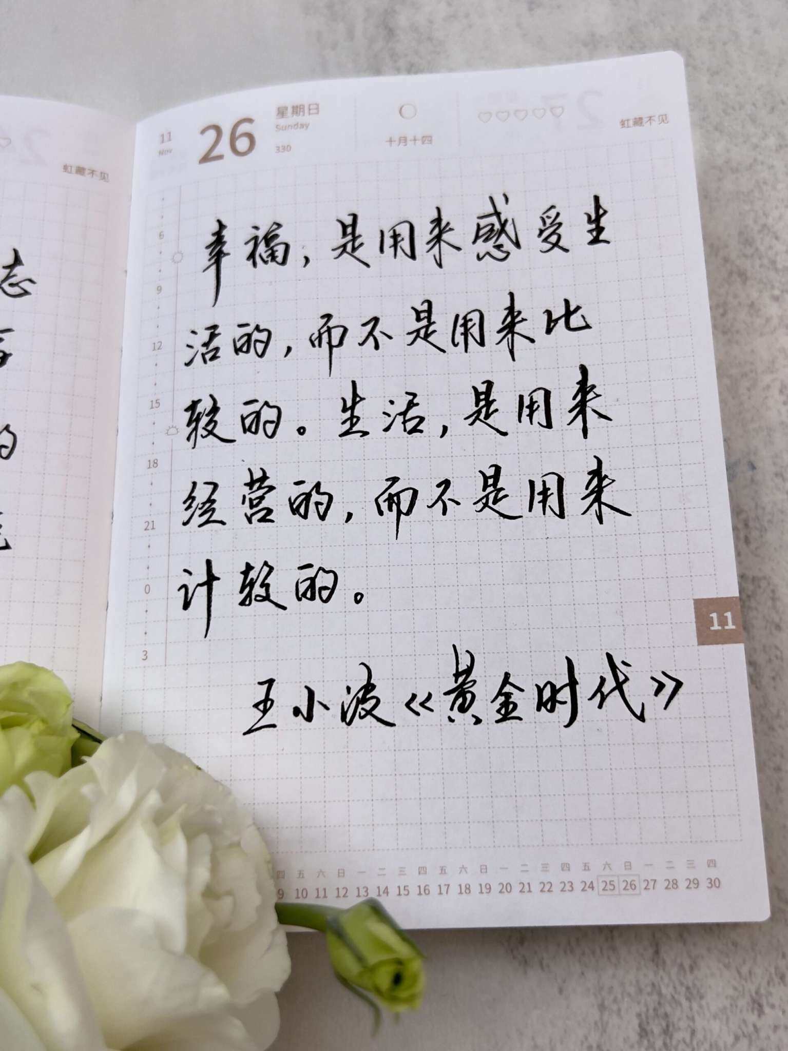 自在手帐2023年11月26日