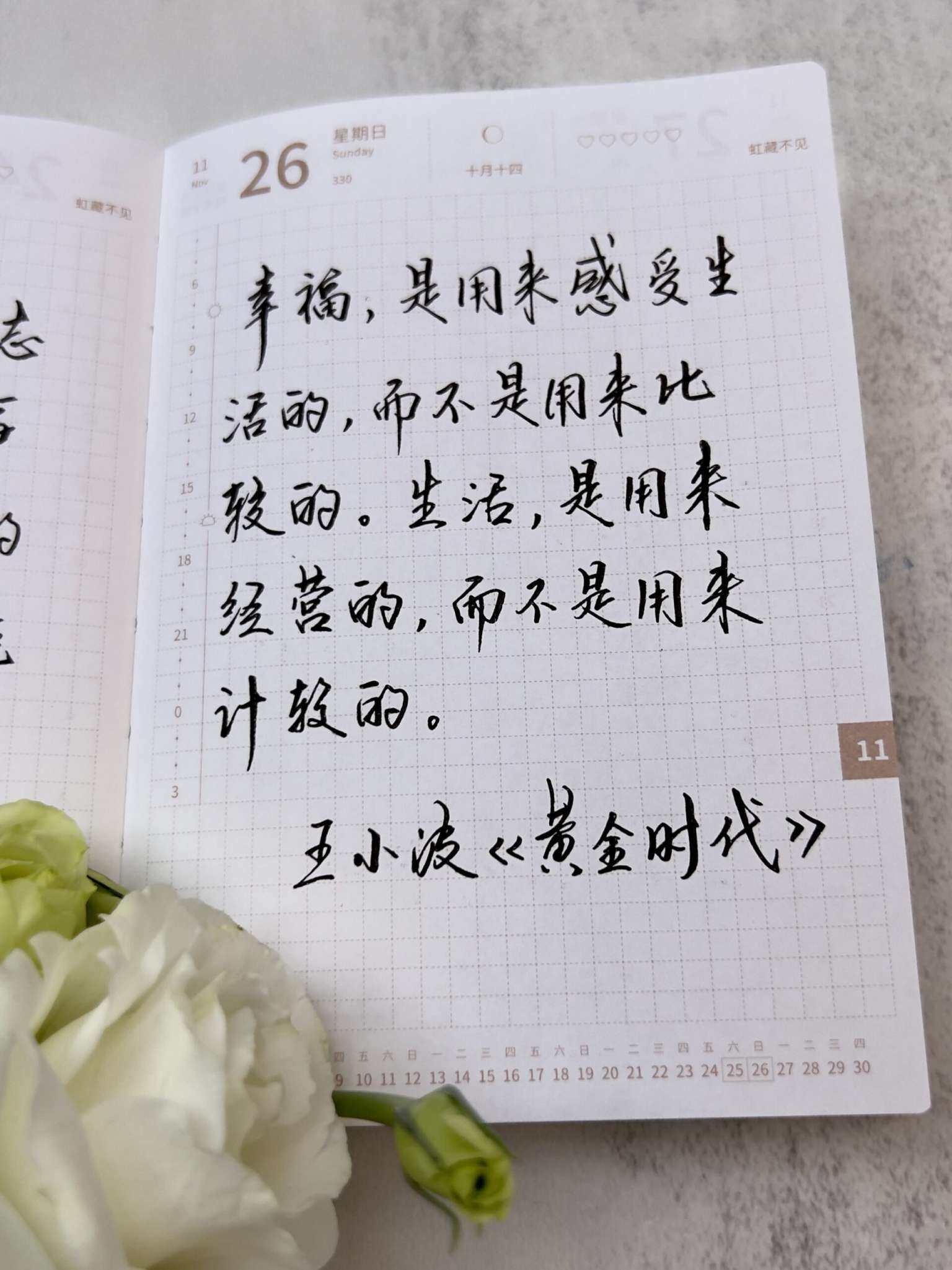 自在手帐2023年11月26日