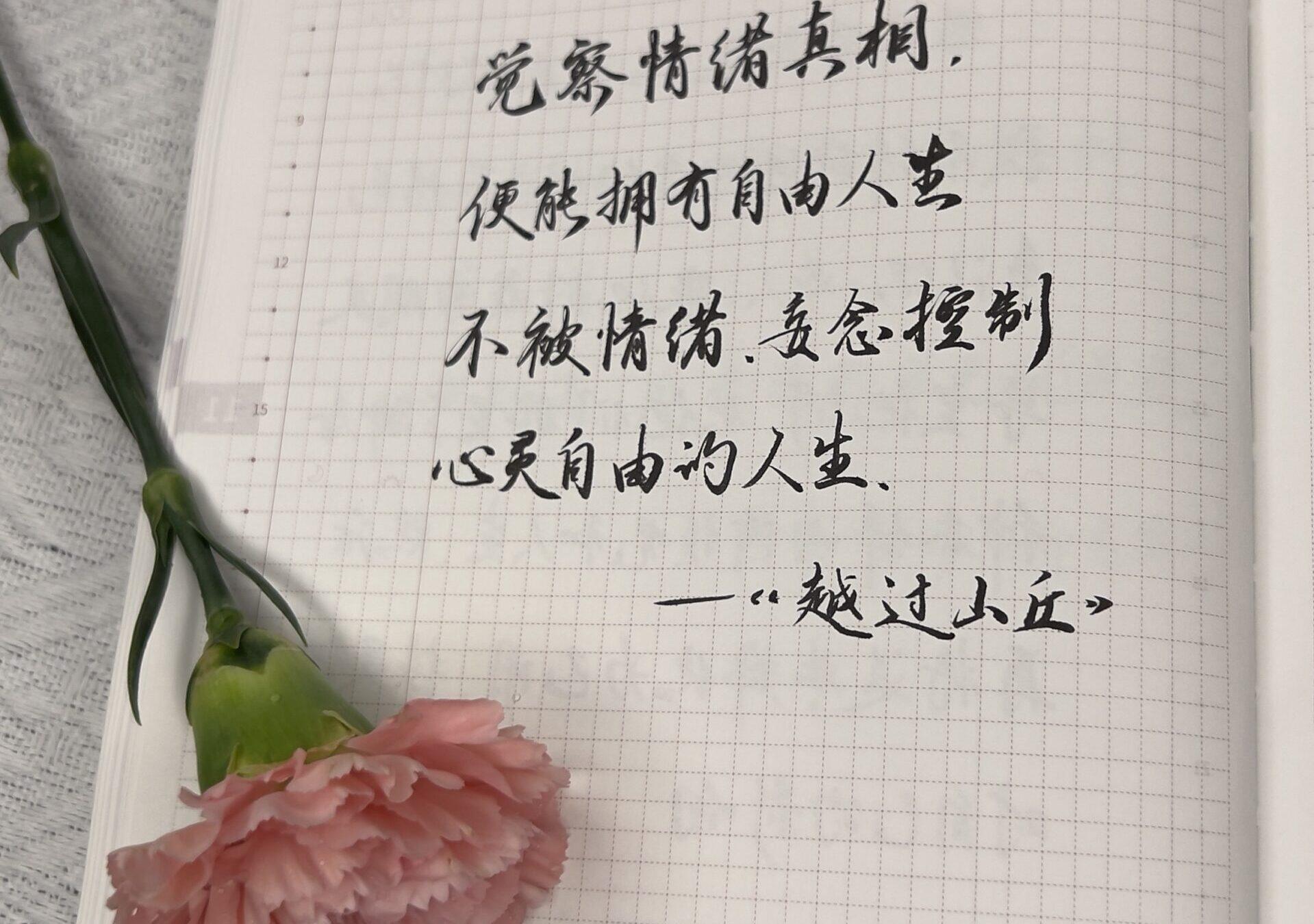 不被情绪、妄念控制