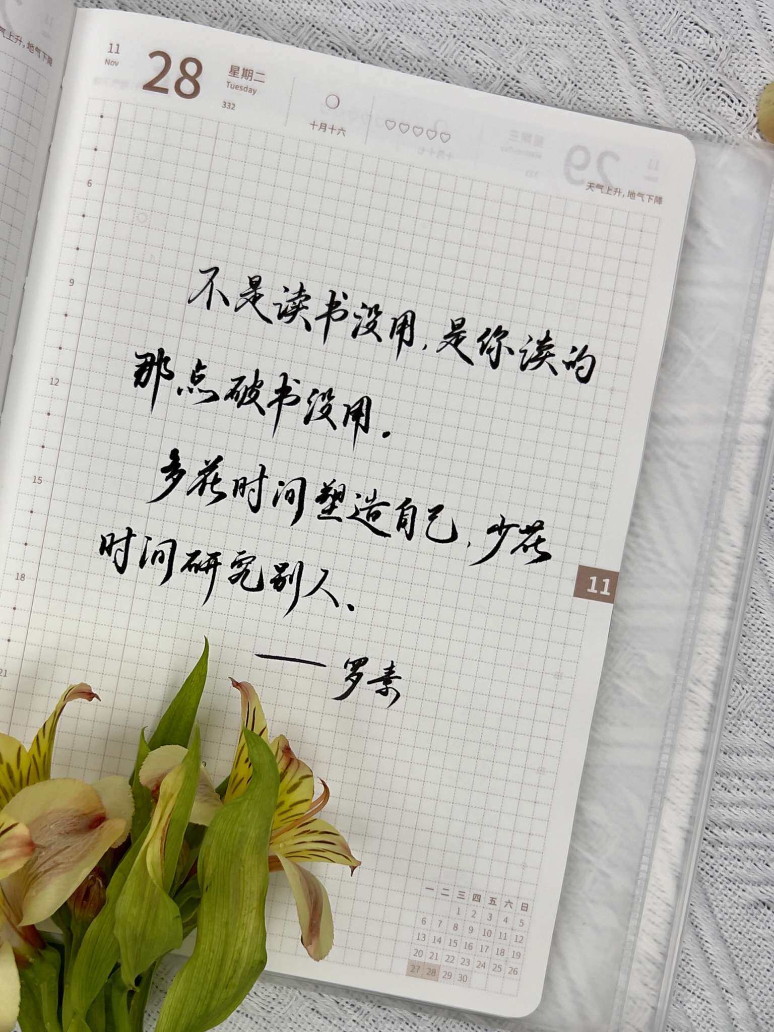 自在手帐2023年11月28日