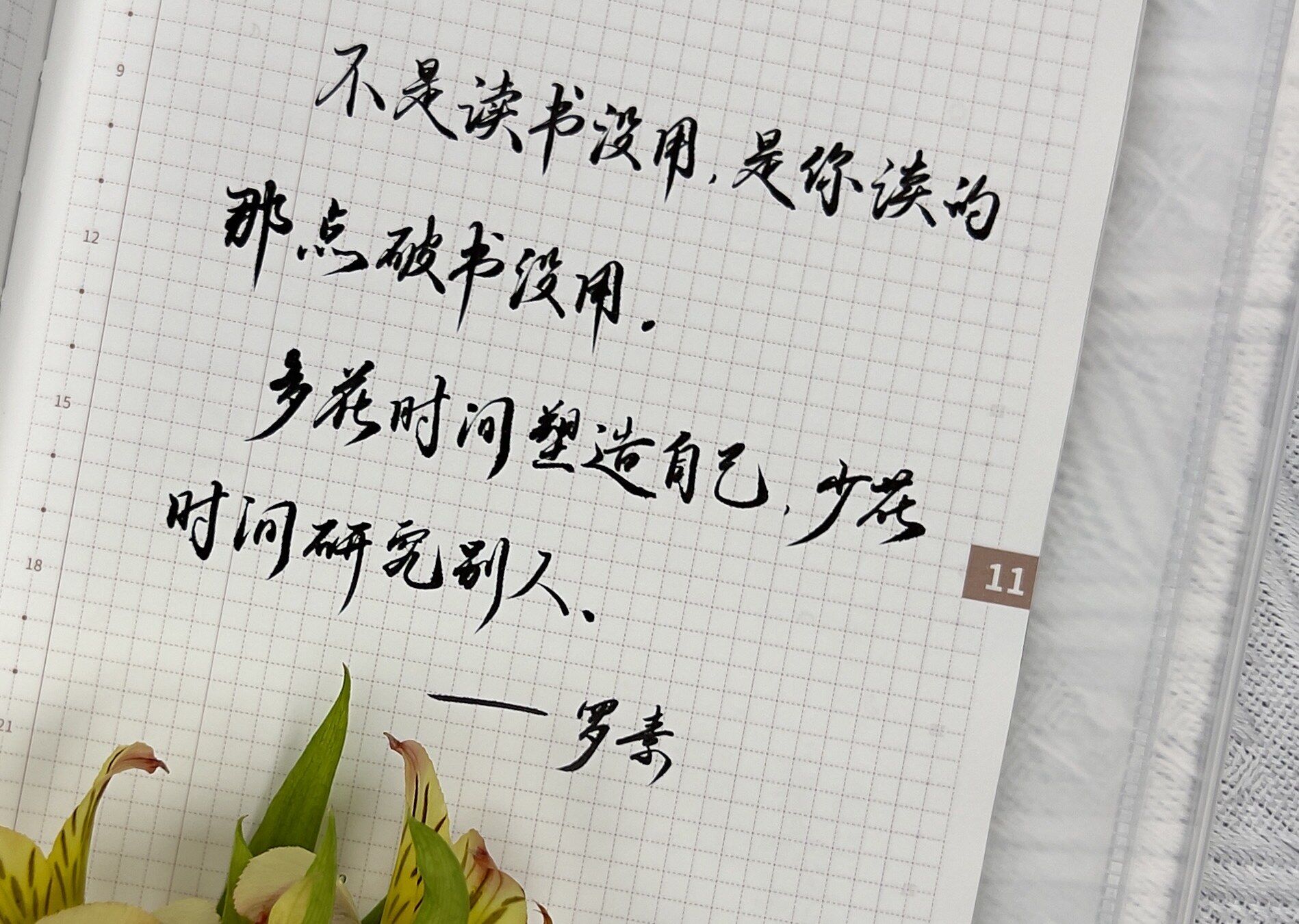 自在手帐2023年11月28日