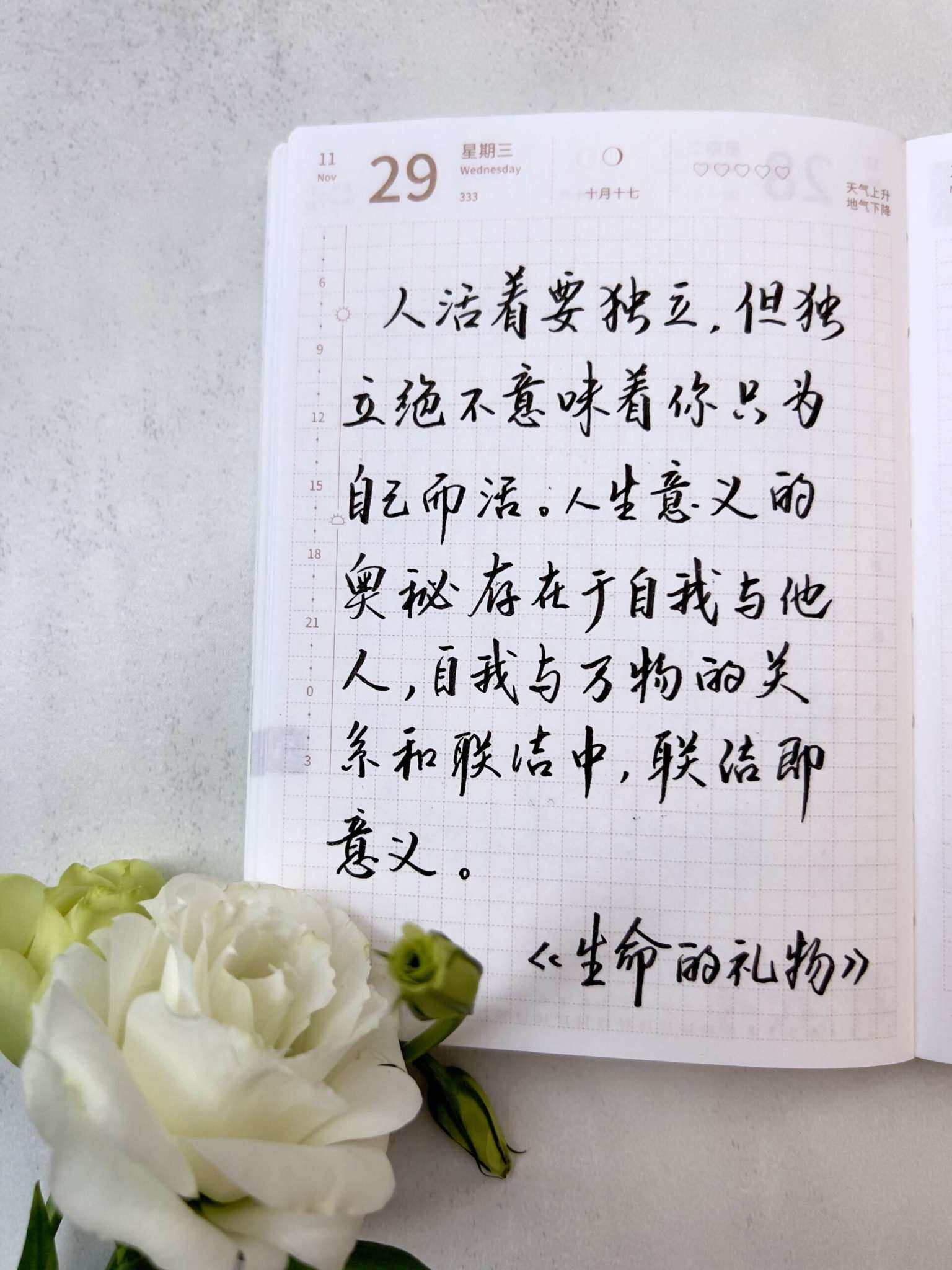 自在手帐2023年11月29日