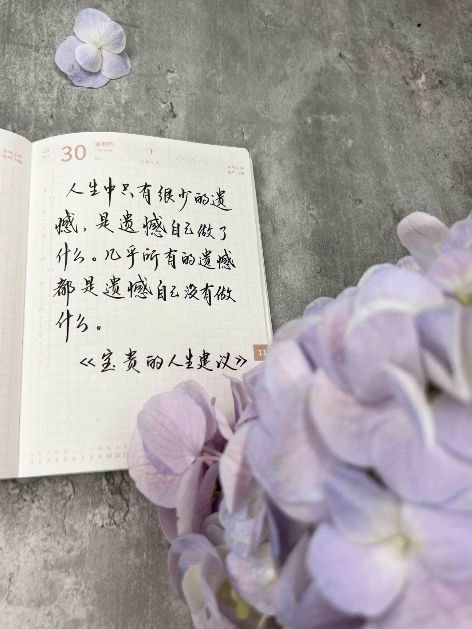 自在手帐2023年11月30日