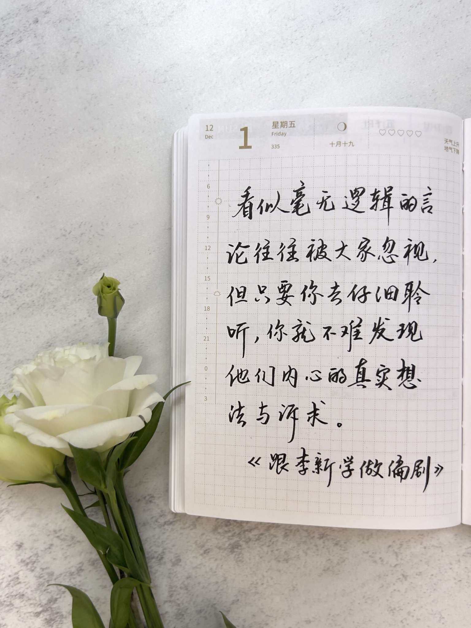 自在手帐2023年12月1日