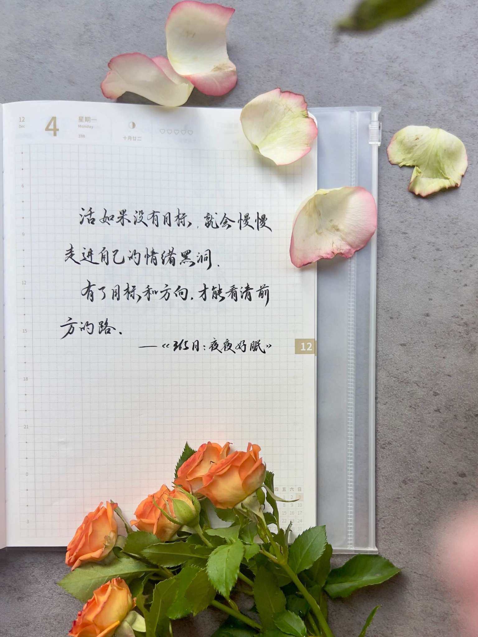 自在手帐2023年12月4日
