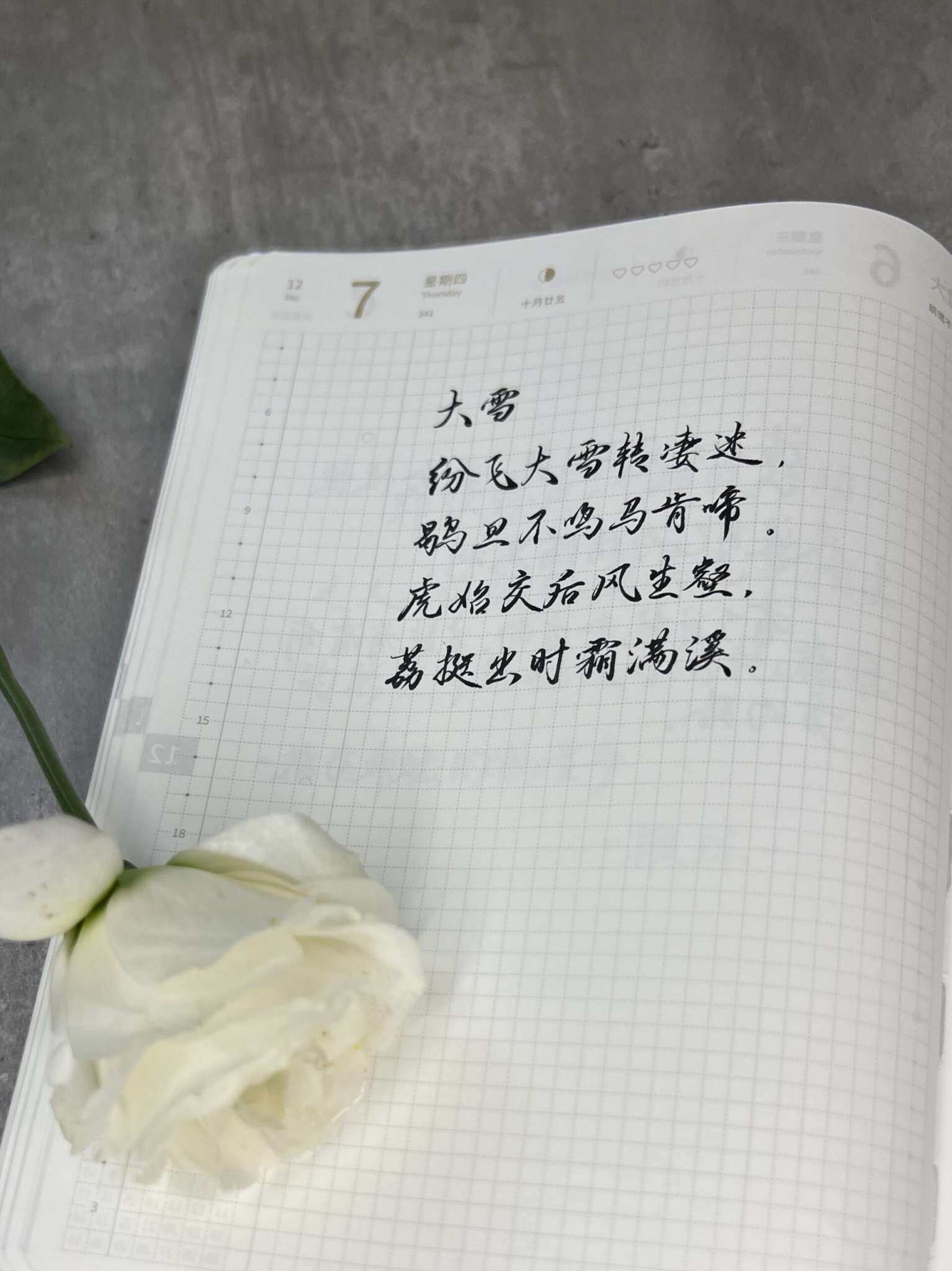 自在手帐2023年12月7日