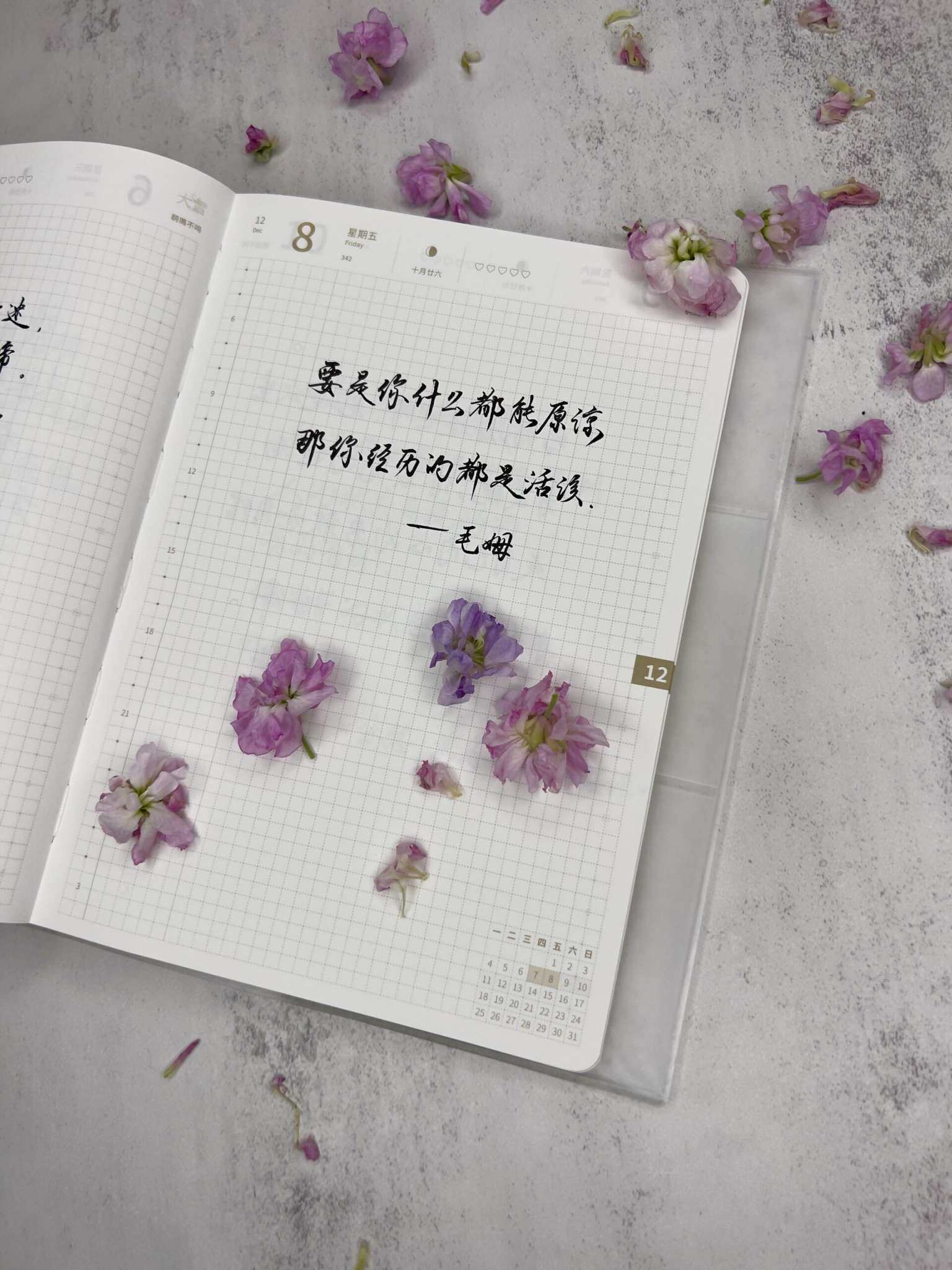 自在手帐2023年12月8日