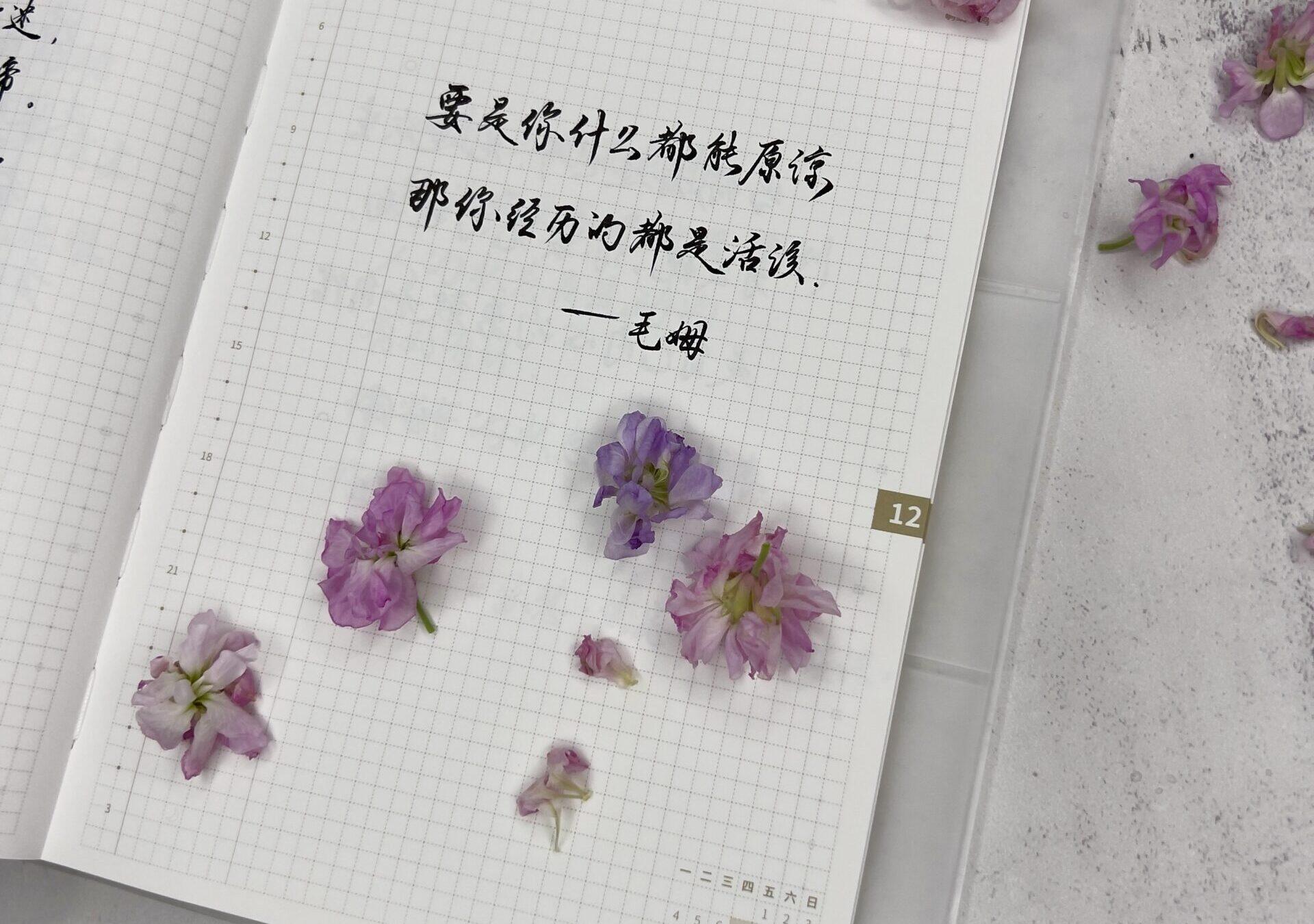 不要什么都原谅