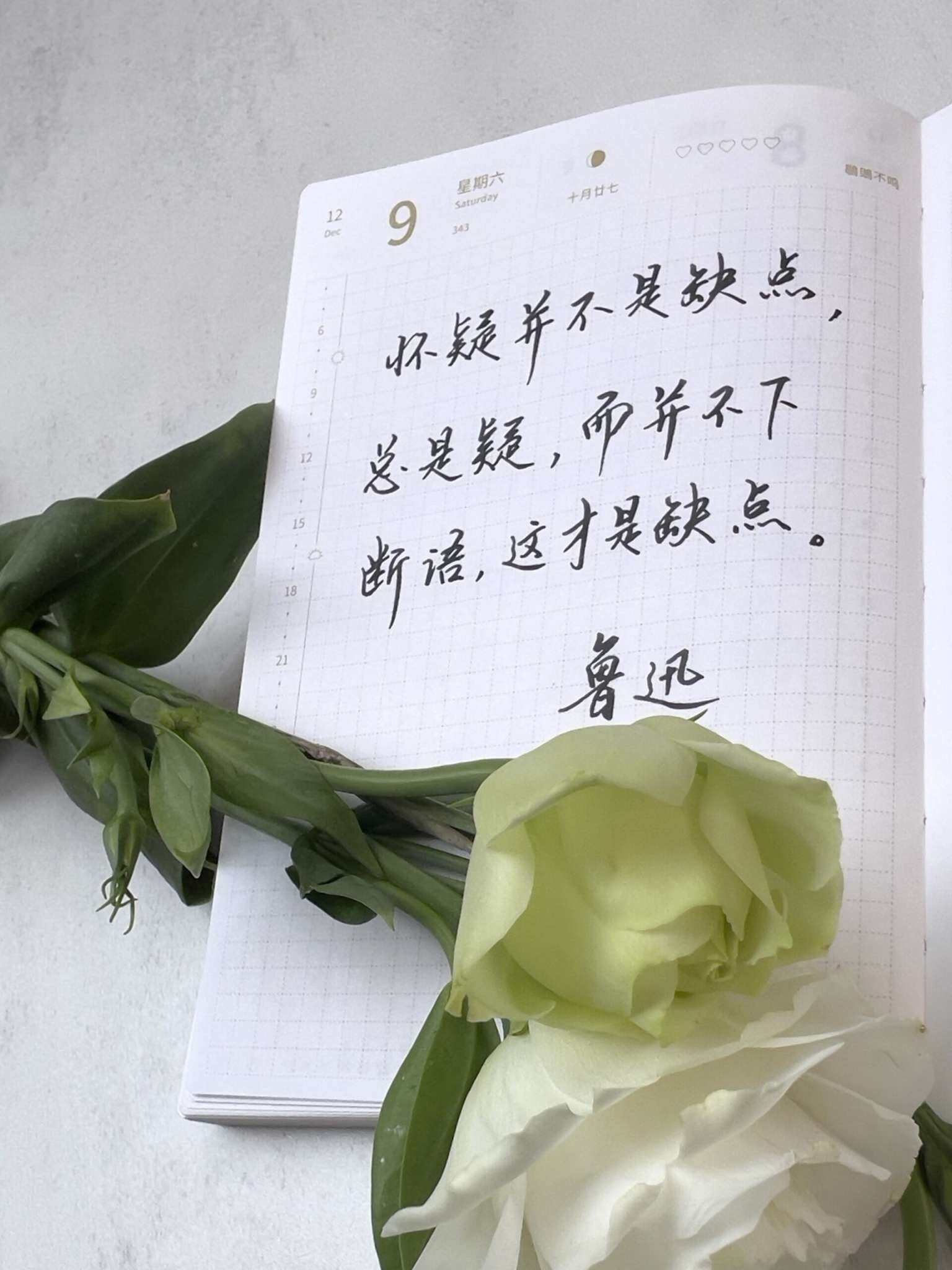 自在手帐2023年12月9日